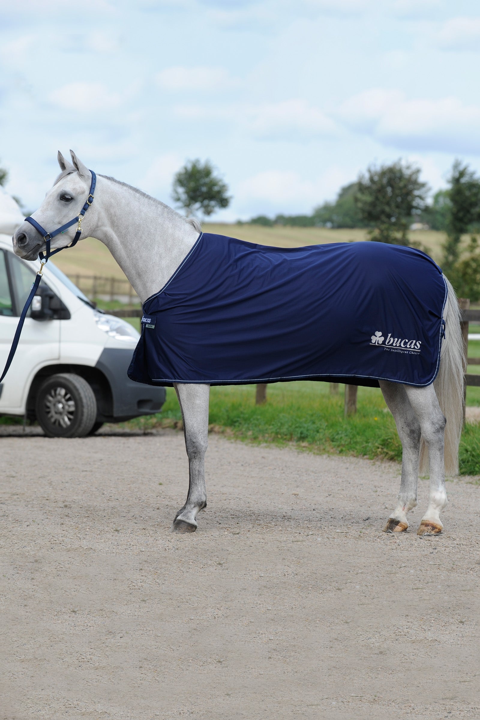 Bucas Power Prize Cooler Horse Rugs