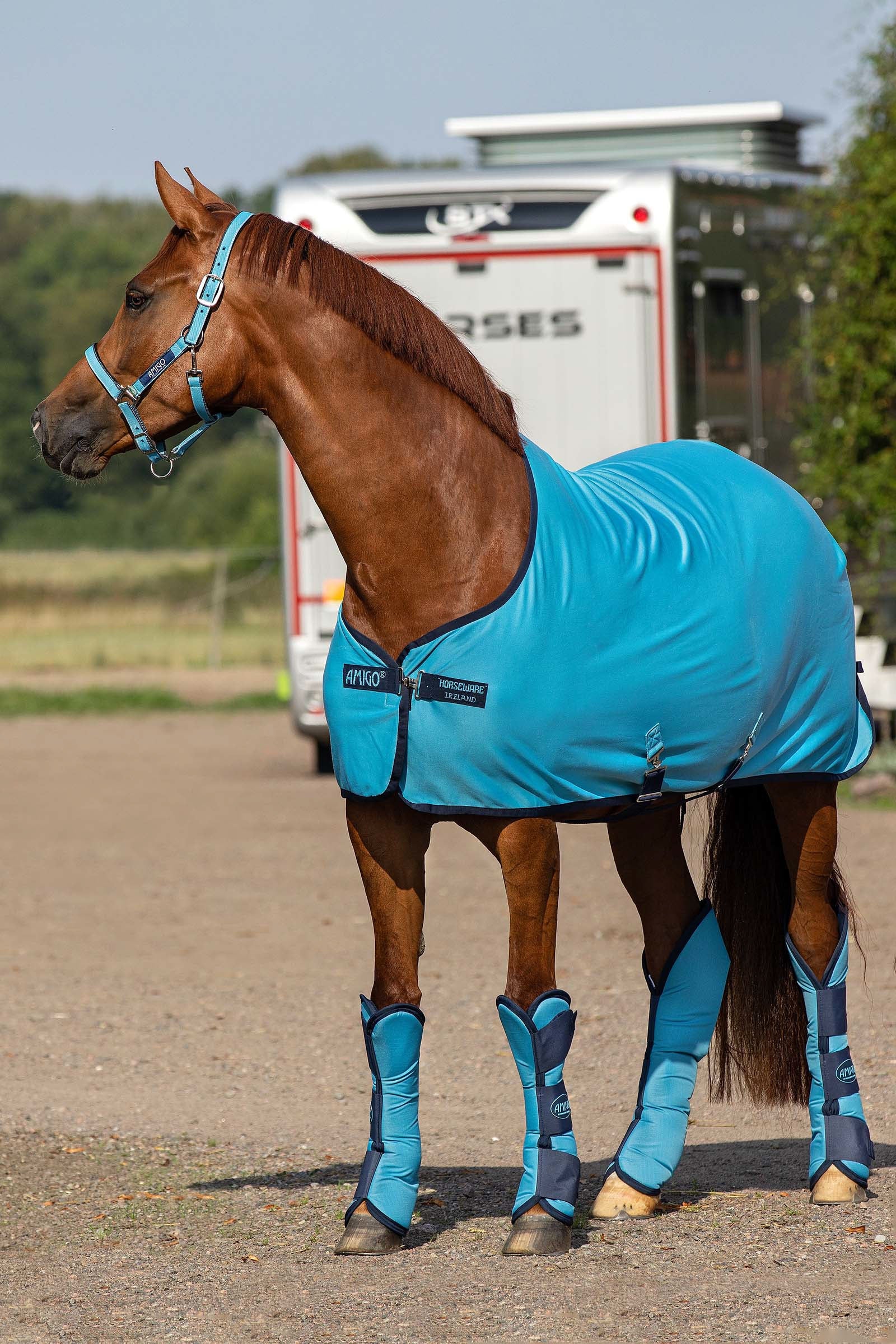 Horseware Amigo Head collar Halters & Leads