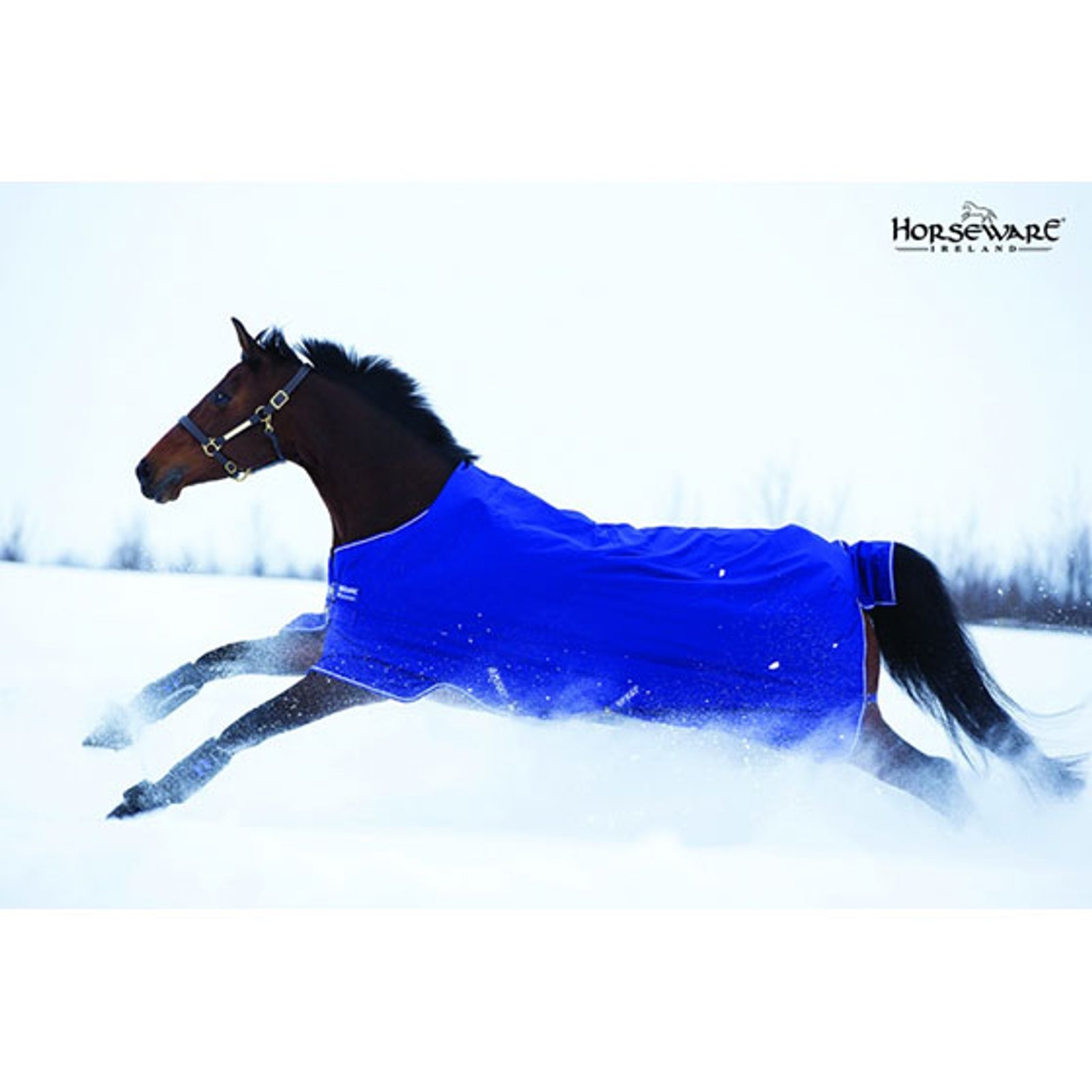 Horseware Amigo Hero-6 Lite, 0g Paardendekens