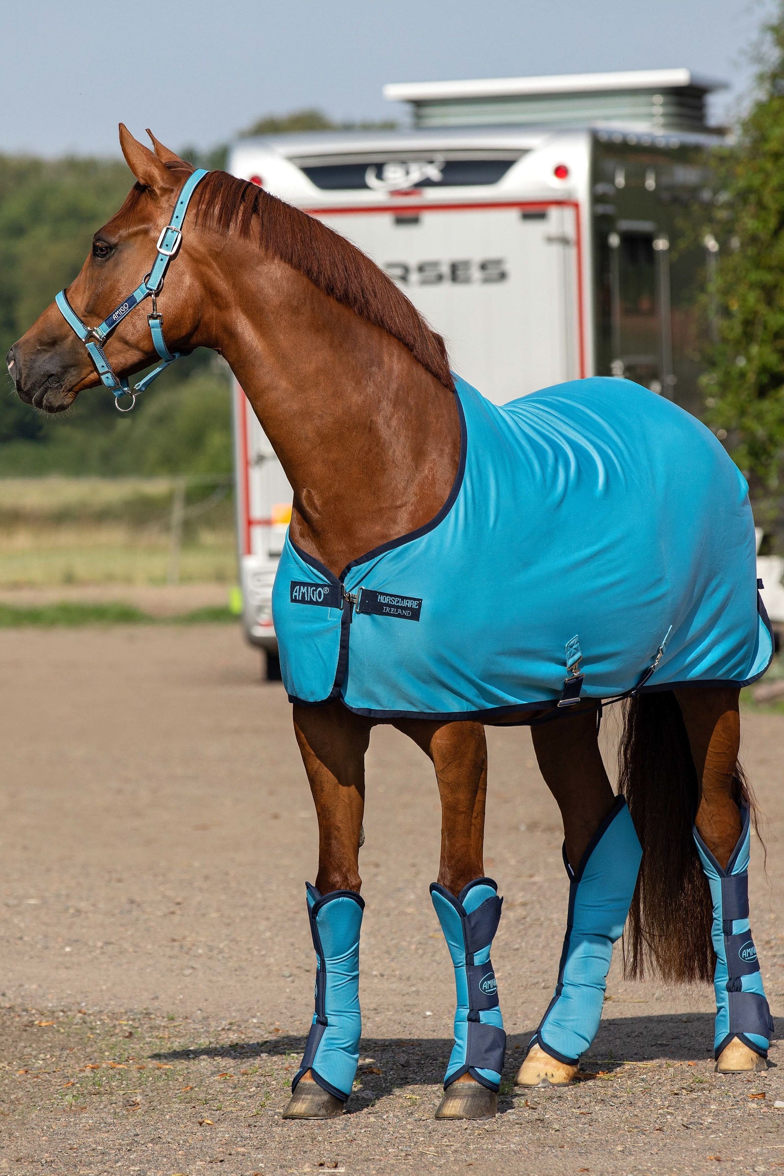 Horseware Amigo jersey zweetdeken Paardendekens