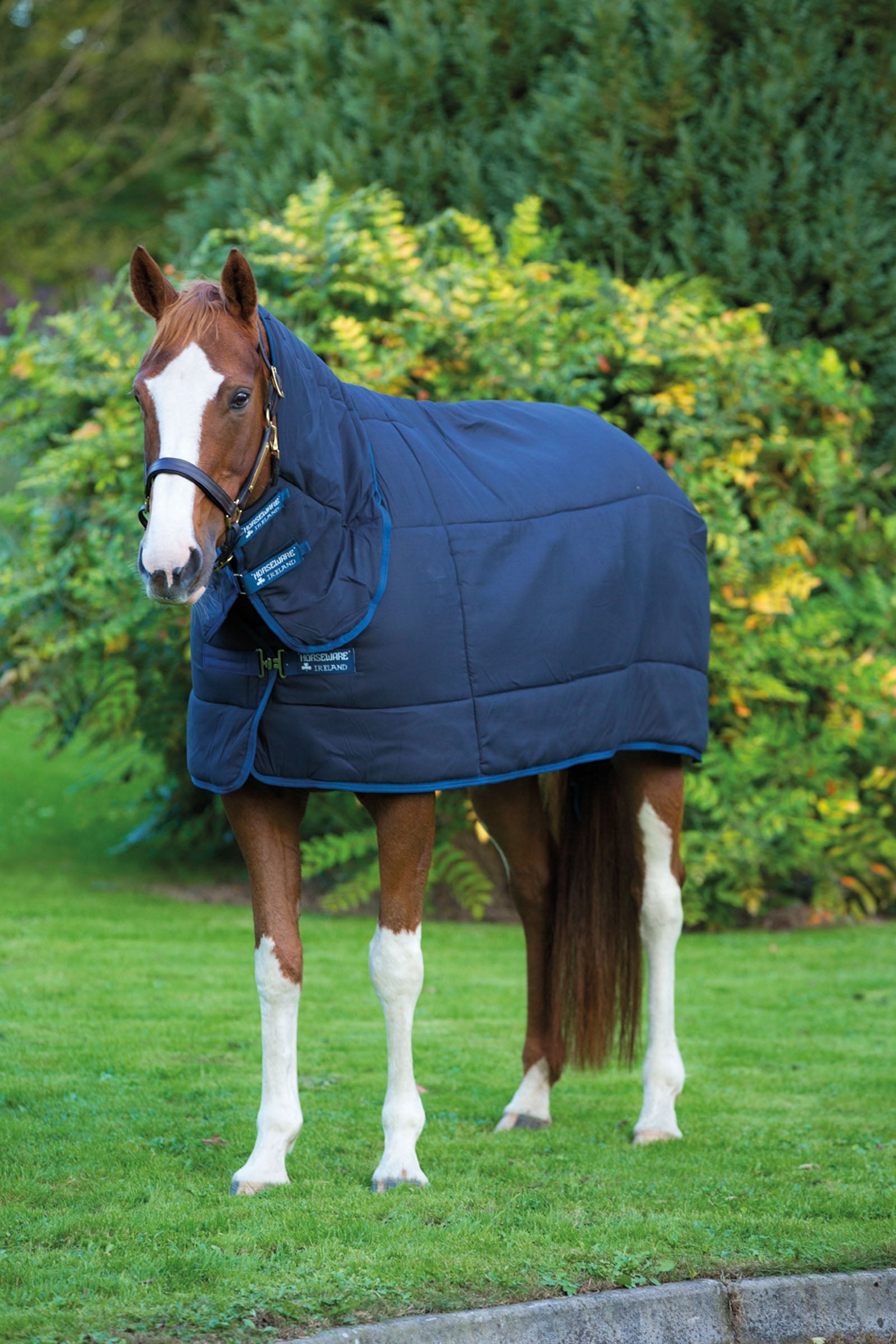 Horseware Plus Under Rug with Fixed Neck, 300g Horse Rugs