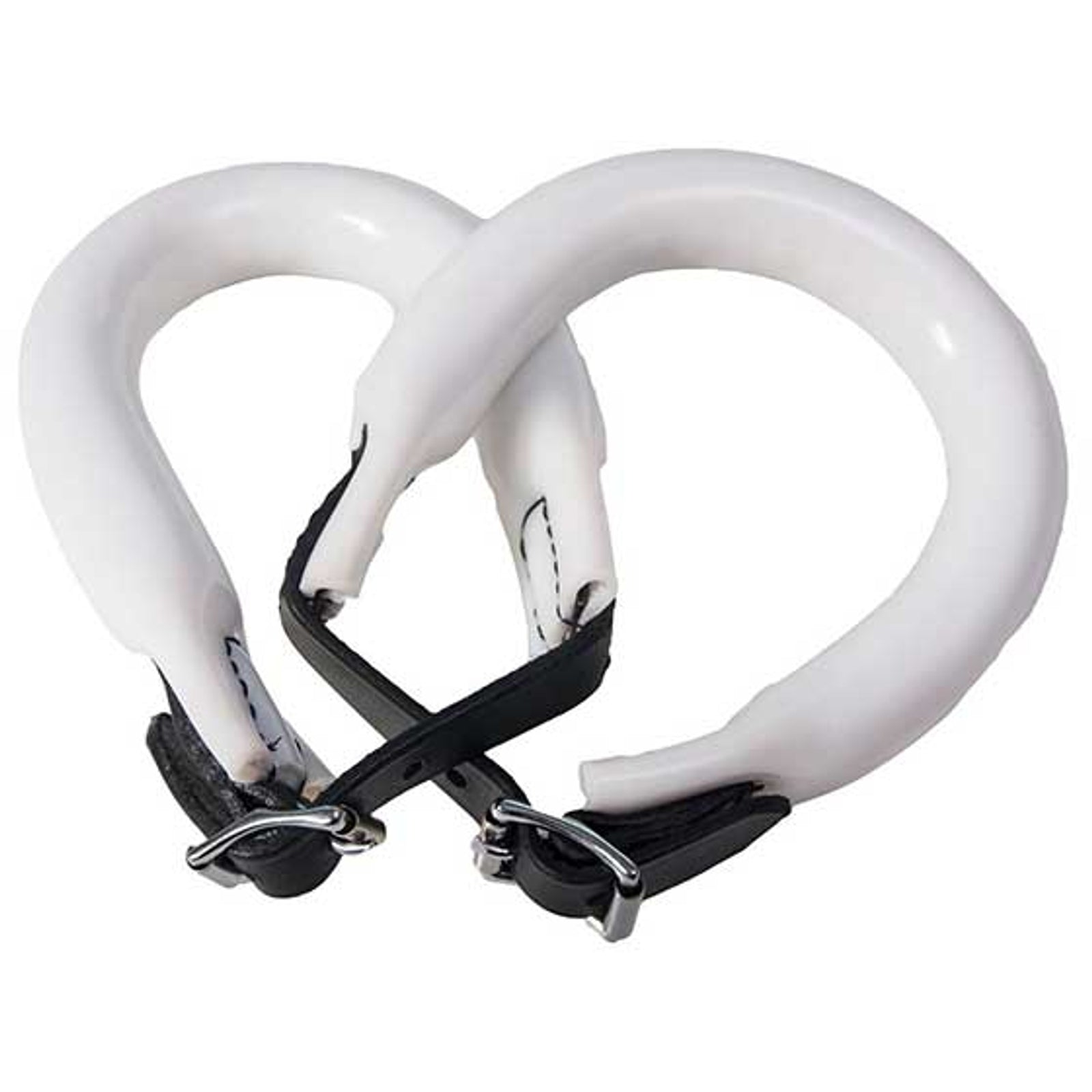 Karlslund Gewichtsringen, 200g Longeren & Longeerhulp