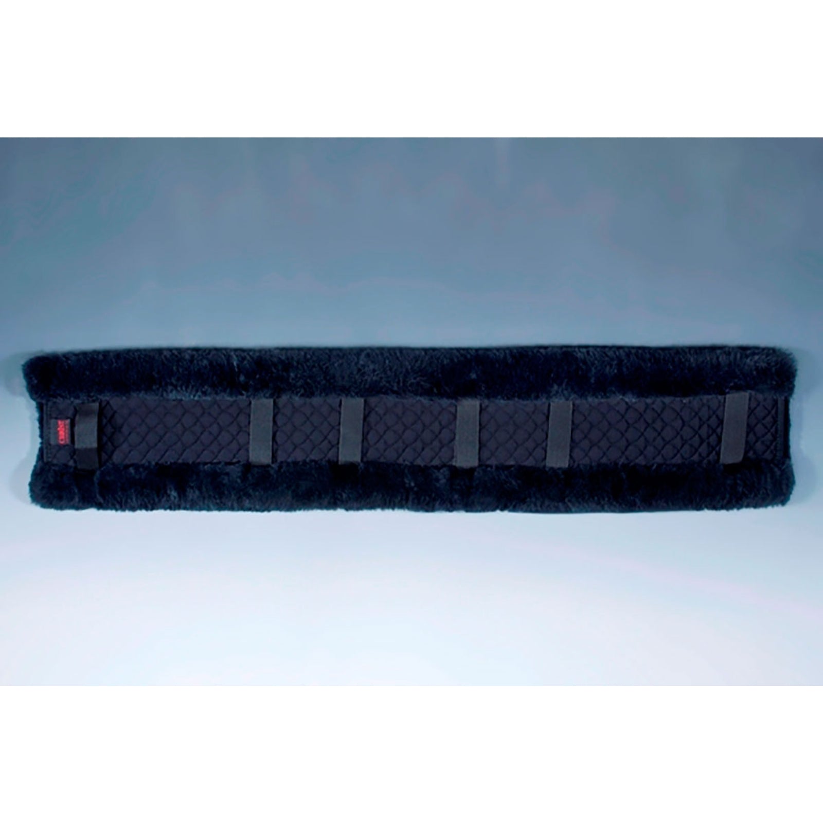 Christ Zadeldek, 100 Drafsport