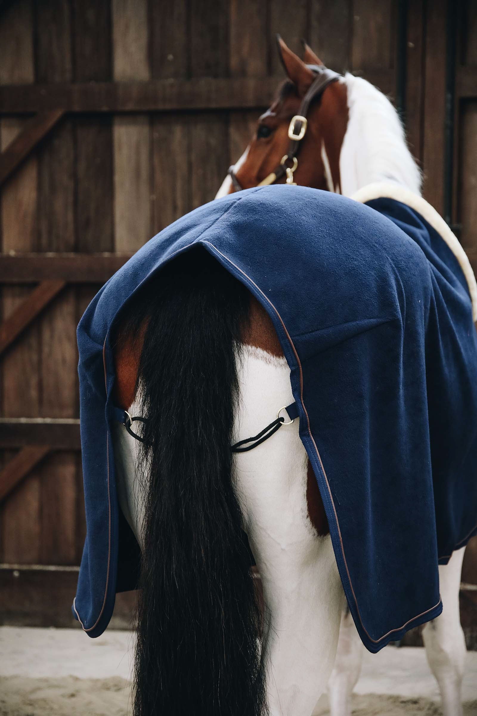 Kentucky Horsewear Fleece Show Rug Horse Rugs