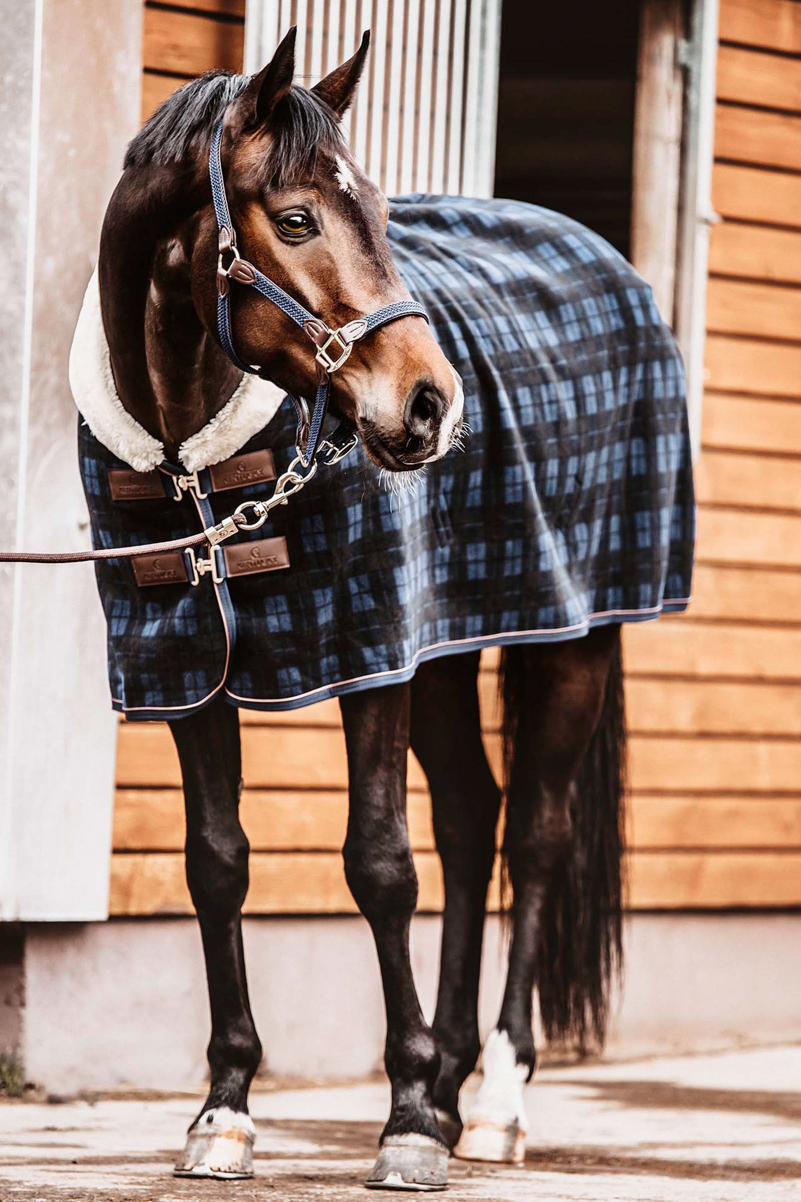 Kentucky Horsewear Fleece Show Rug Horse Rugs