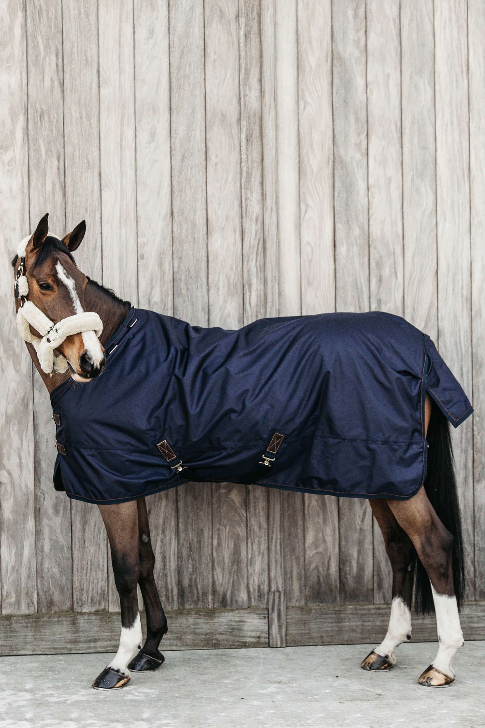 Kentucky Horsewear All Weather Paardendeken, 160 gram Paardendekens