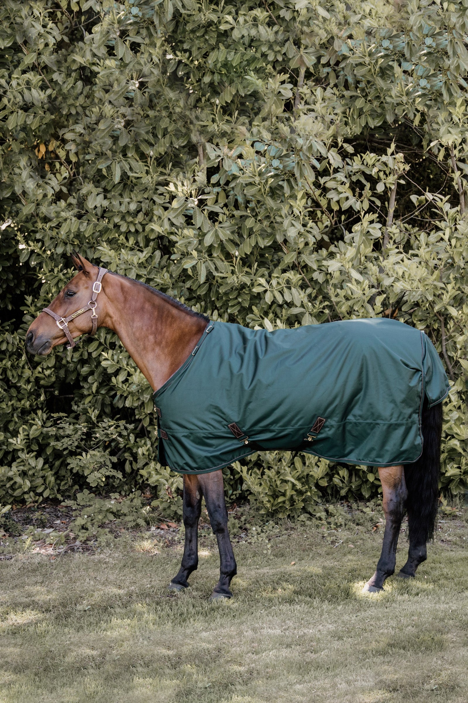 Kentucky Horsewear All Weather Paardendeken, 160 gram Paardendekens