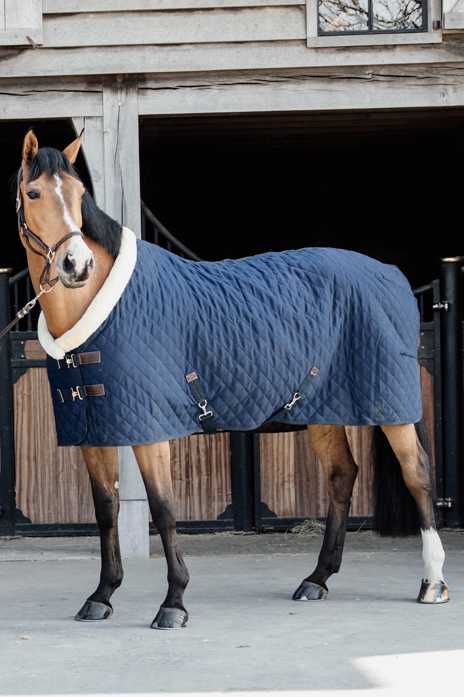 Kentucky Horsewear Showdeken 160g Paardendekens