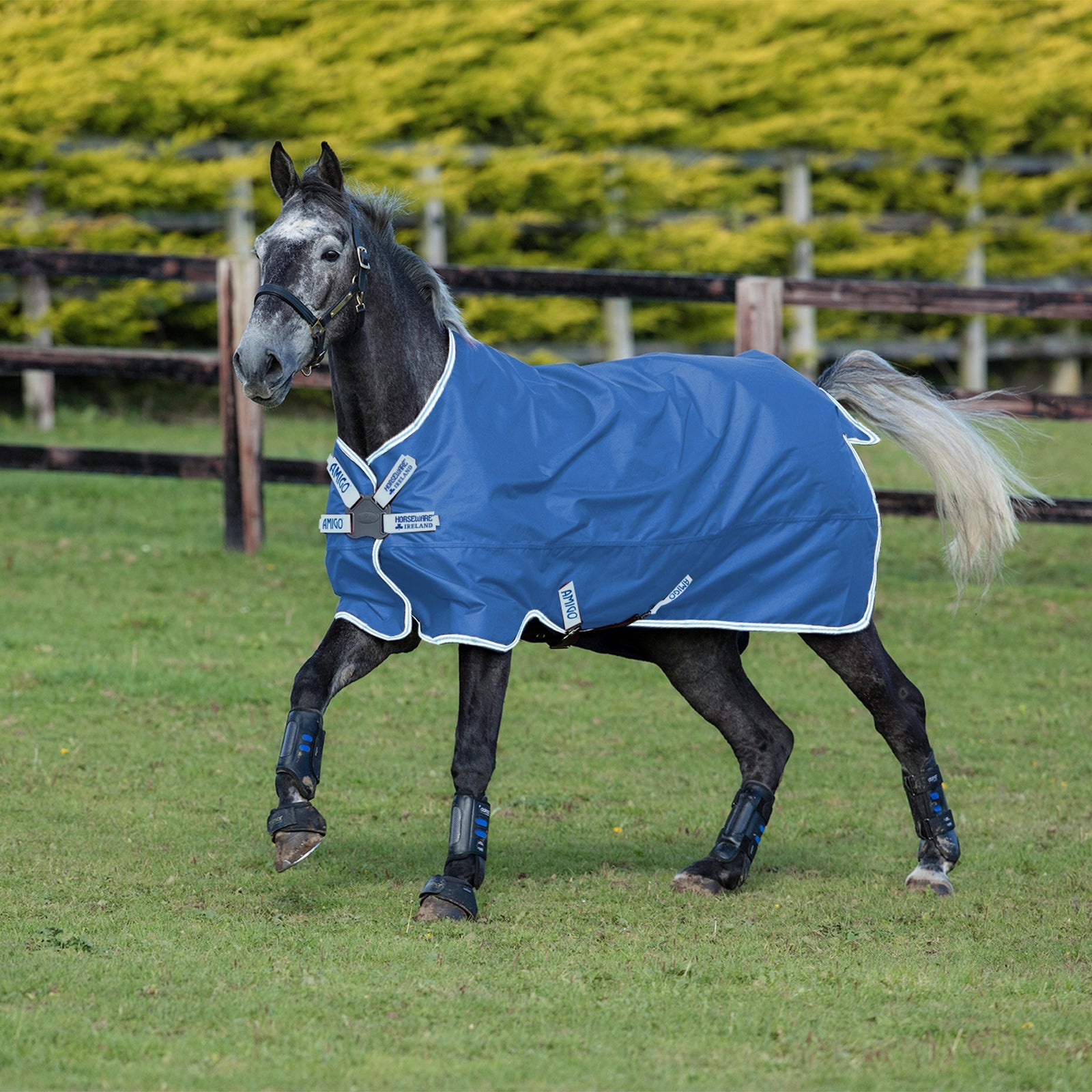 Horseware Amigo Hero 900 Regendeken DF, 50 grams Paardendekens
