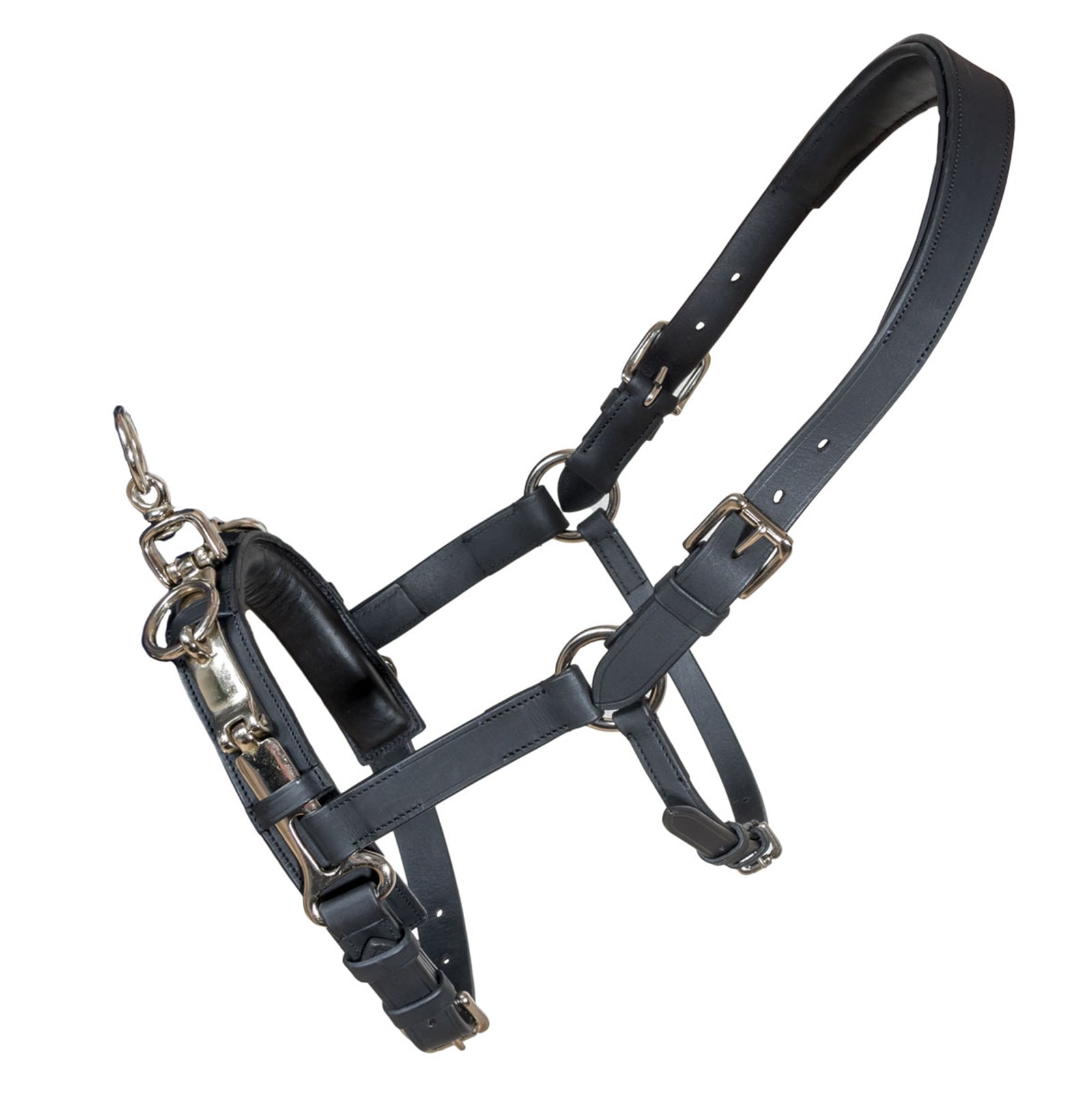 Karlslund Fengur Kaptoom Longeren & Longeerhulp