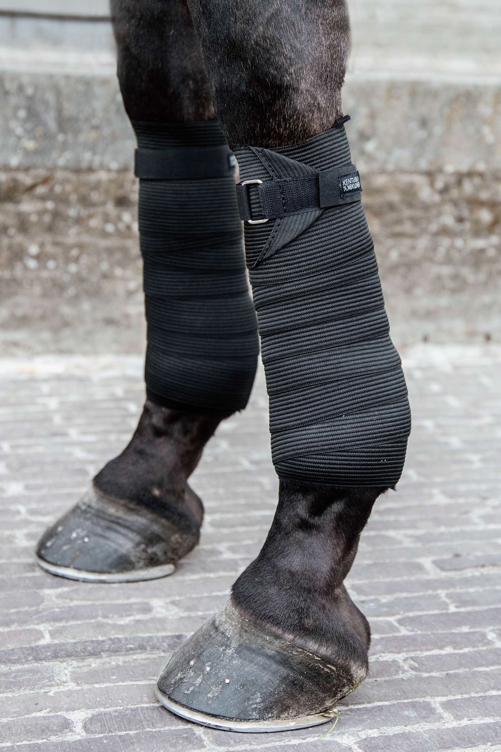 Kentucky Horsewear Polar Fleece & elastische bandage Leg Protection & Hoof Protection for Horses