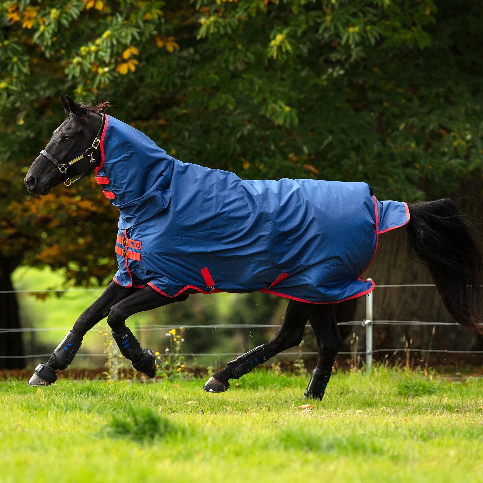 Horseware MioT/OLite alles in één met hals, 0 g. Paardendekens