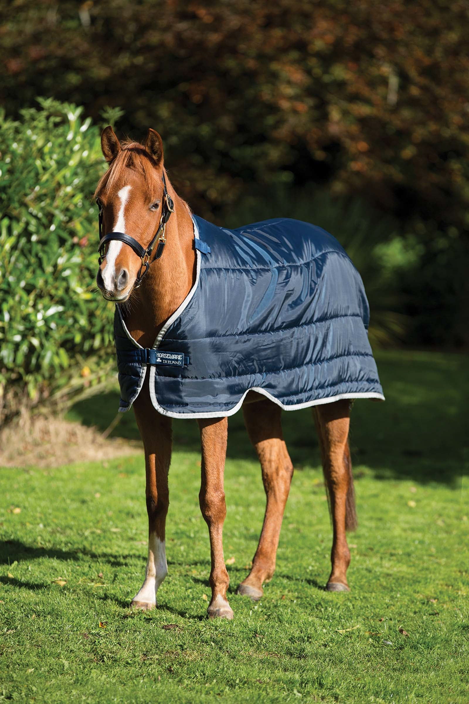 Horseware Pony Under Rug, 200g Horse Rugs