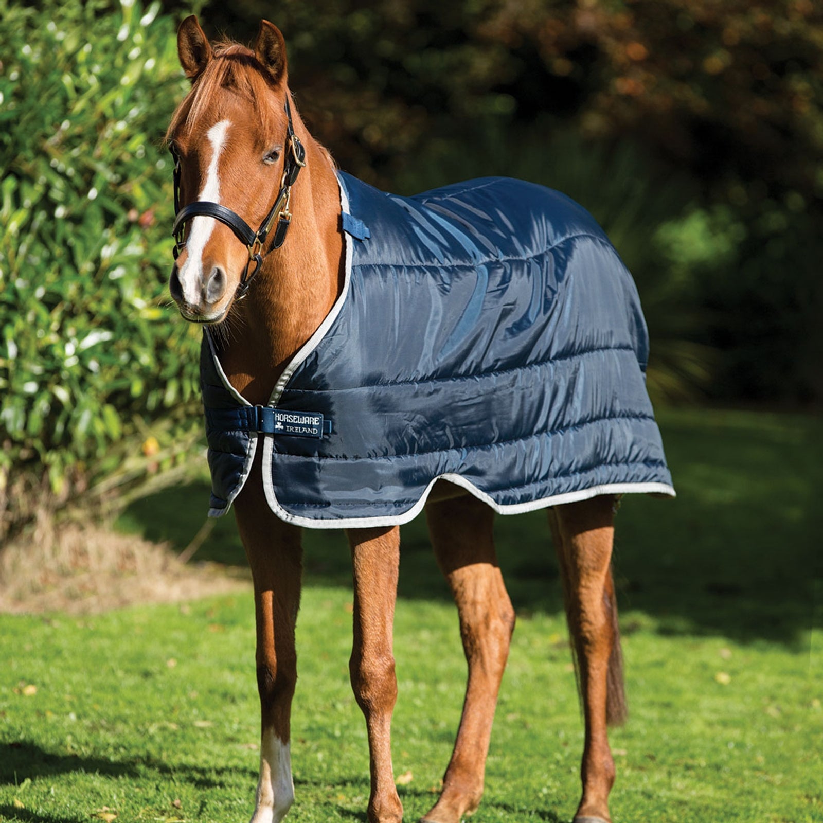 Horseware Pony Under Rug, 100g Horse Rugs