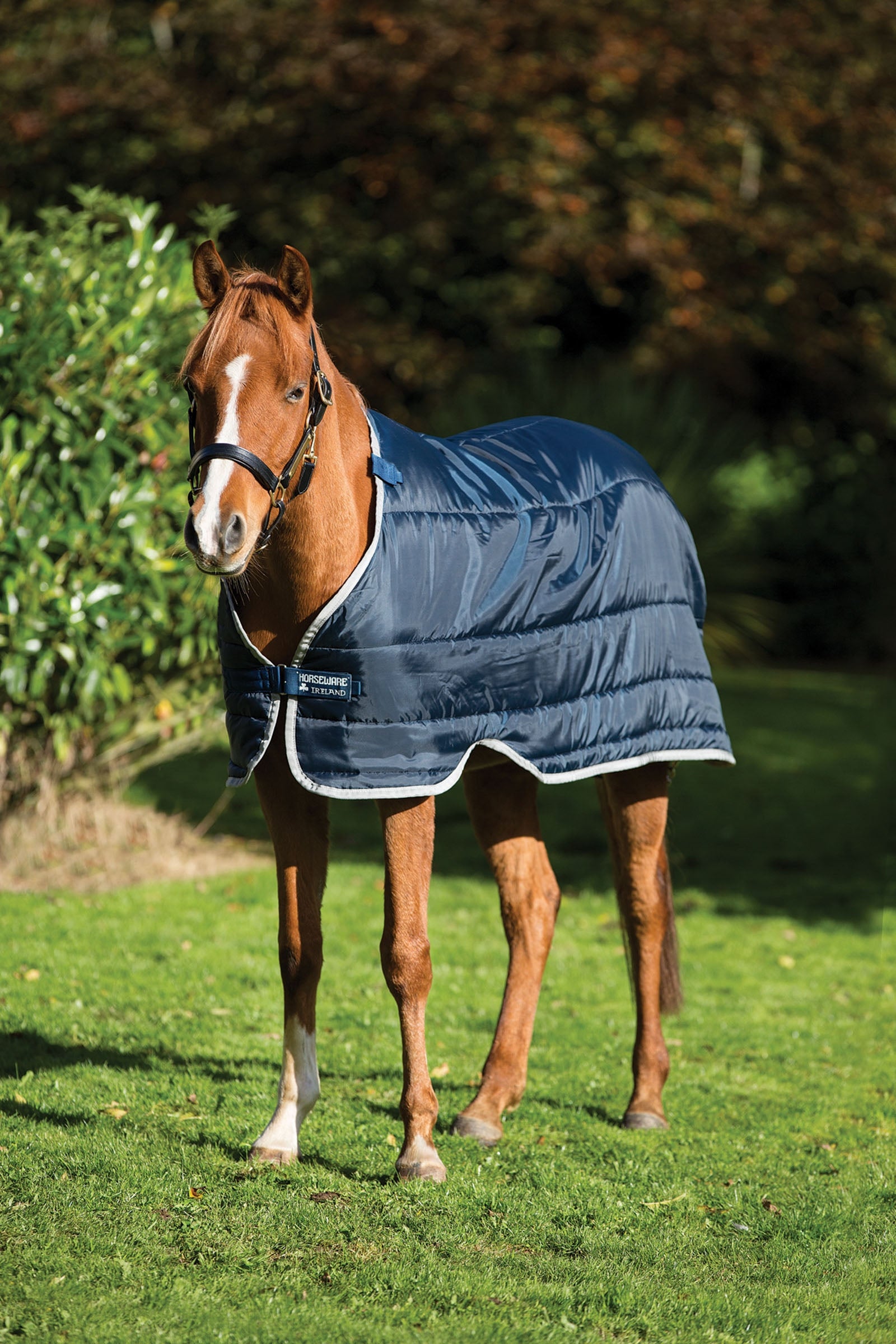 Horseware Pony Under Rug, 100g Horse Rugs
