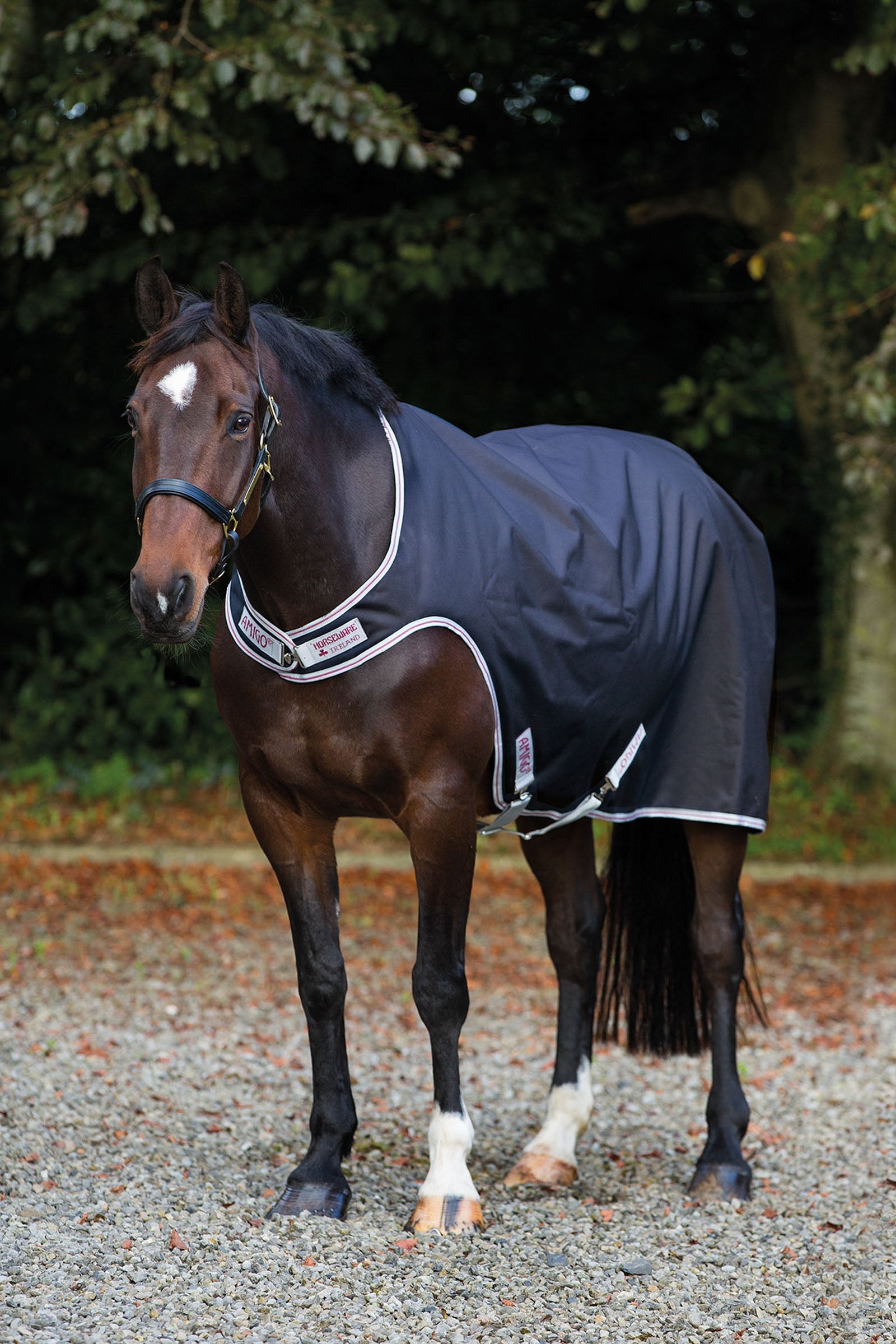 Horseware Amigo Stapmolen deken, 100g Paardendekens