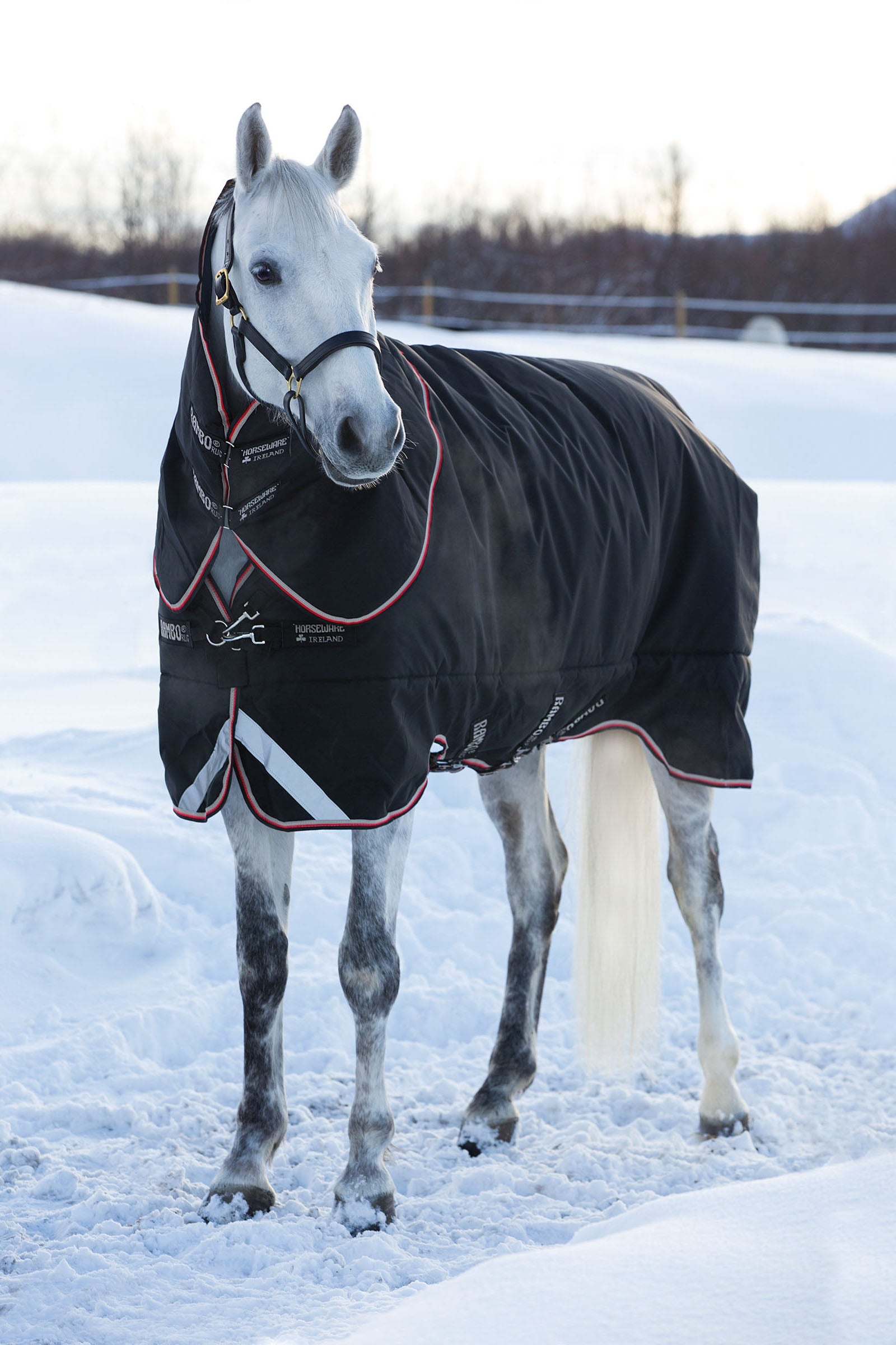 Horseware Rambo Supreme Deken, 420 grams Paardendekens
