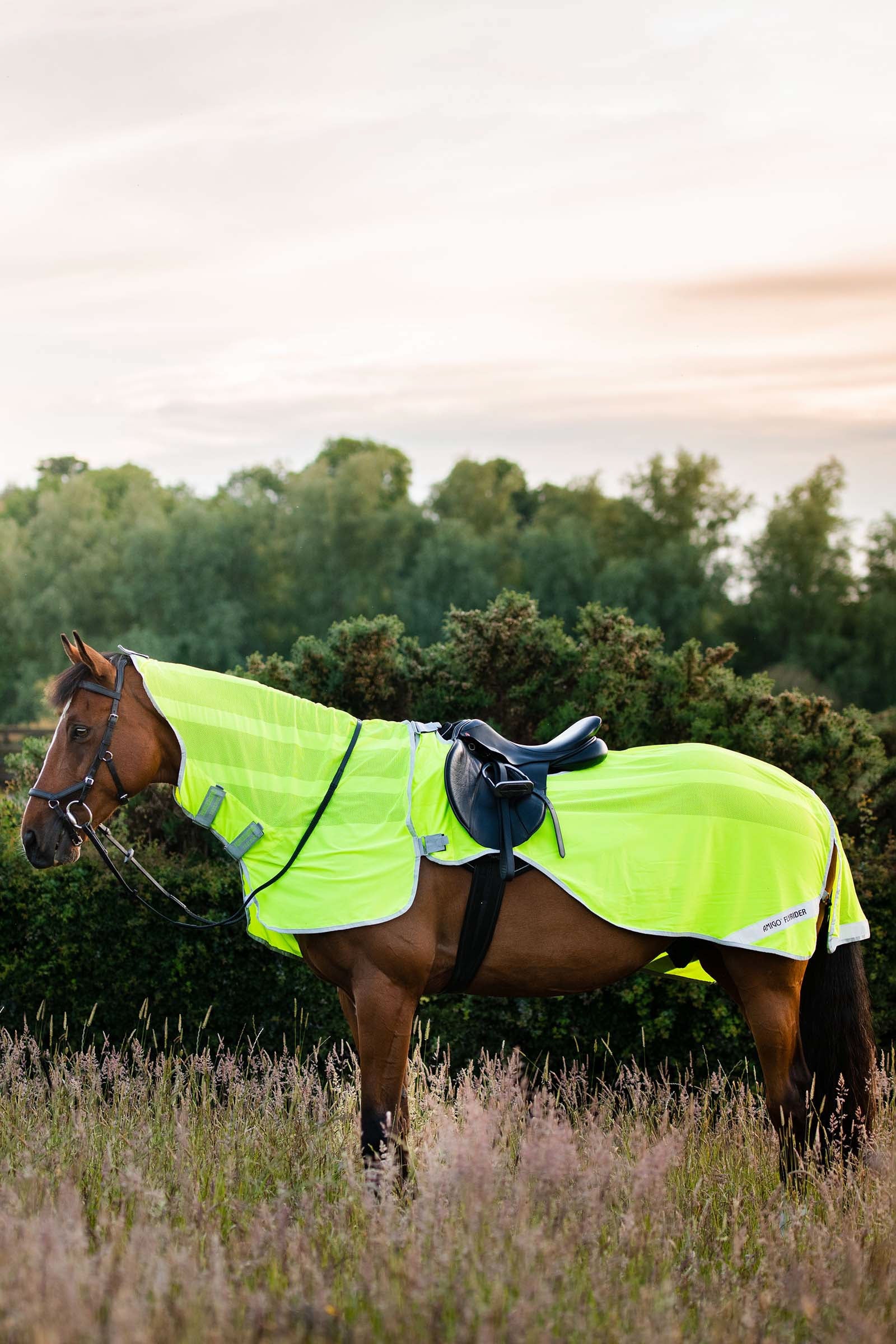Horseware Amigo Flyrider uitrijdeken, 0 g Paardendekens