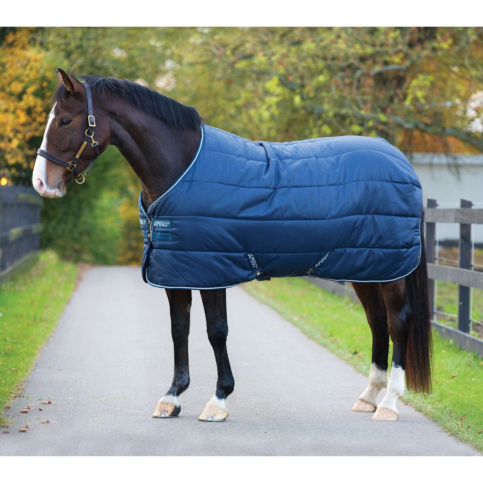 Horseware Amigo Insulator zwaar, 350g Paardendekens