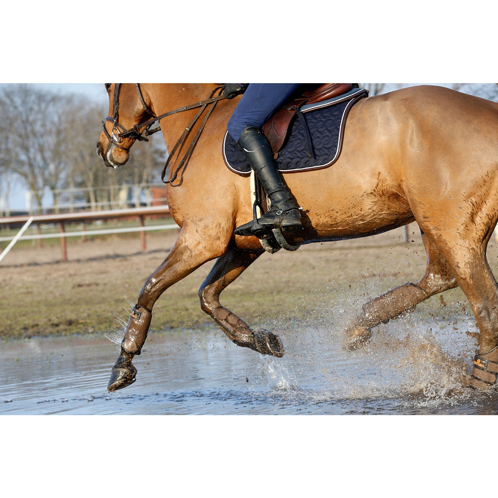 Kentucky Horsewear Saddle Pad Absorb Saddle Pads
