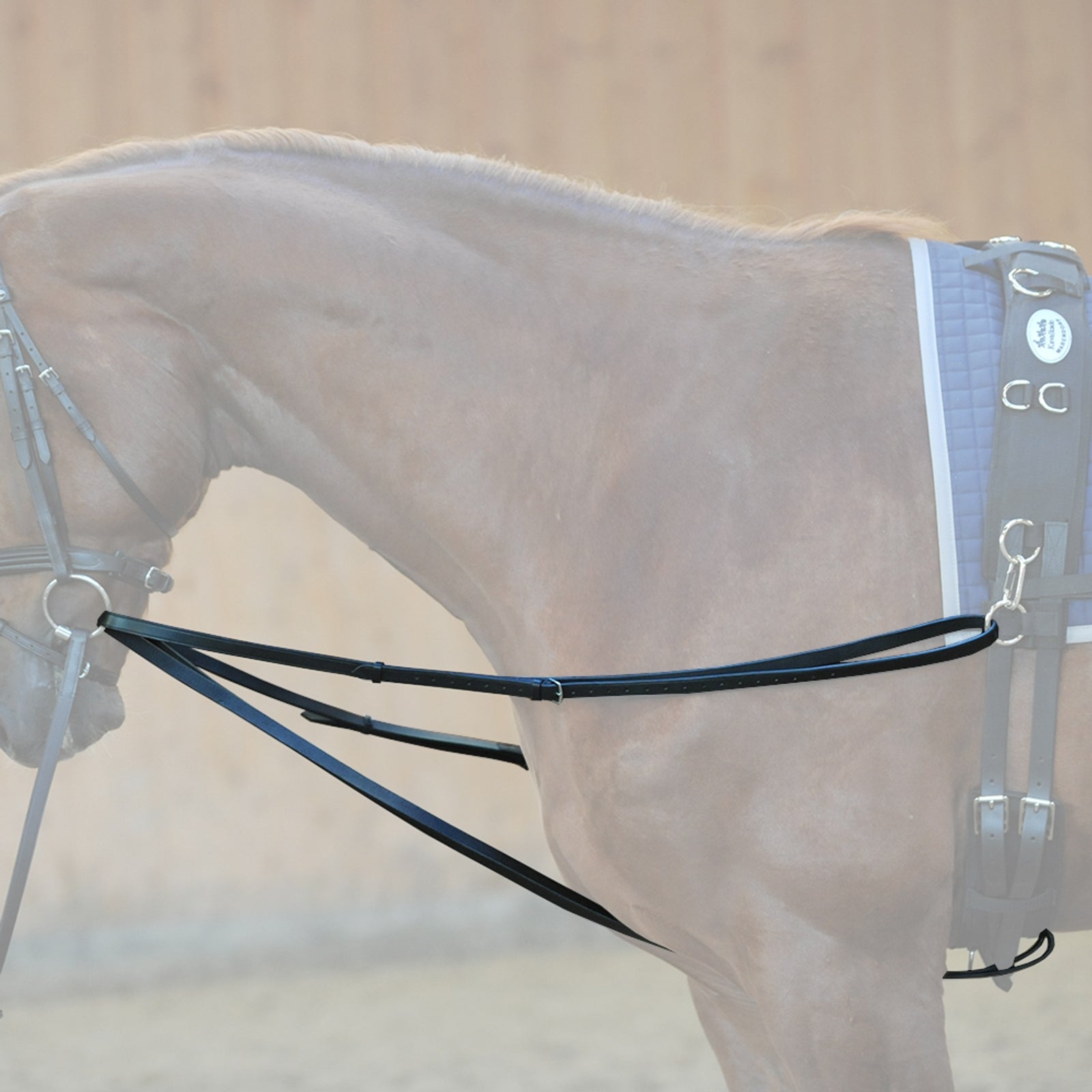 Kavalkade Phillip reins Bridles & Reins