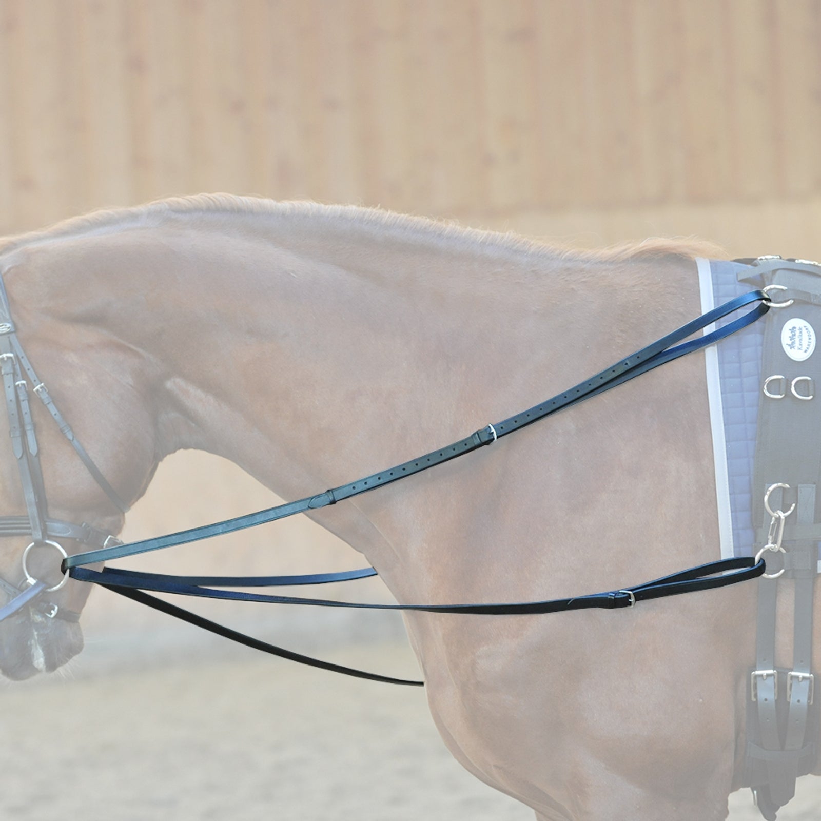 Kavalkade Phillip reins Bridles & Reins