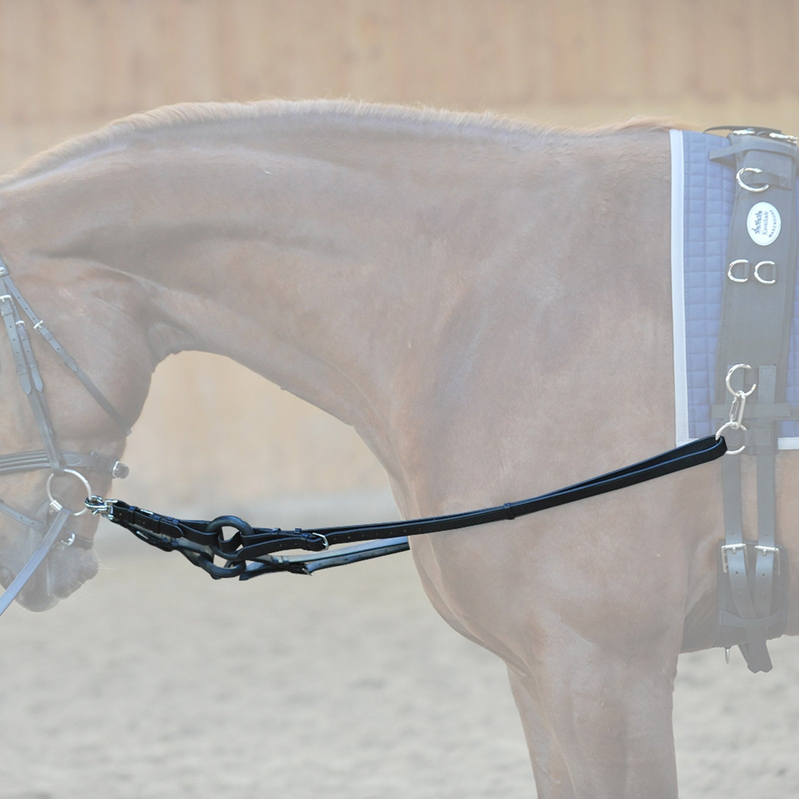 Kavalkade Bijzetteugels Hoofdstellen & Teugels