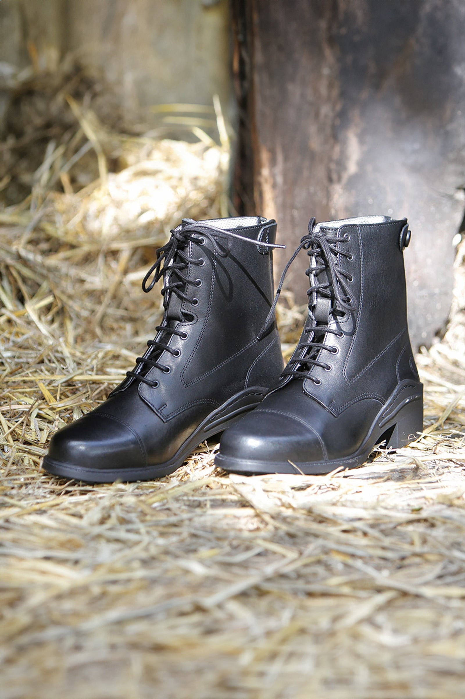 Harry's Horse Paddock boot leather Smart Paardrijlaarzen & chaps