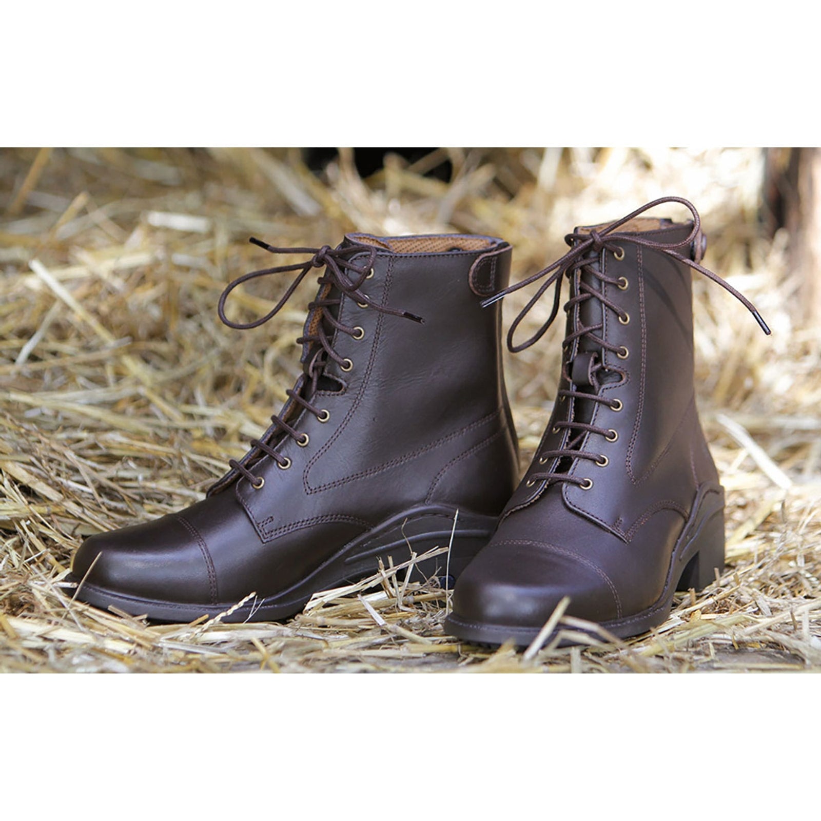 Harry's Horse Paddock boot leather Smart Paardrijlaarzen & chaps