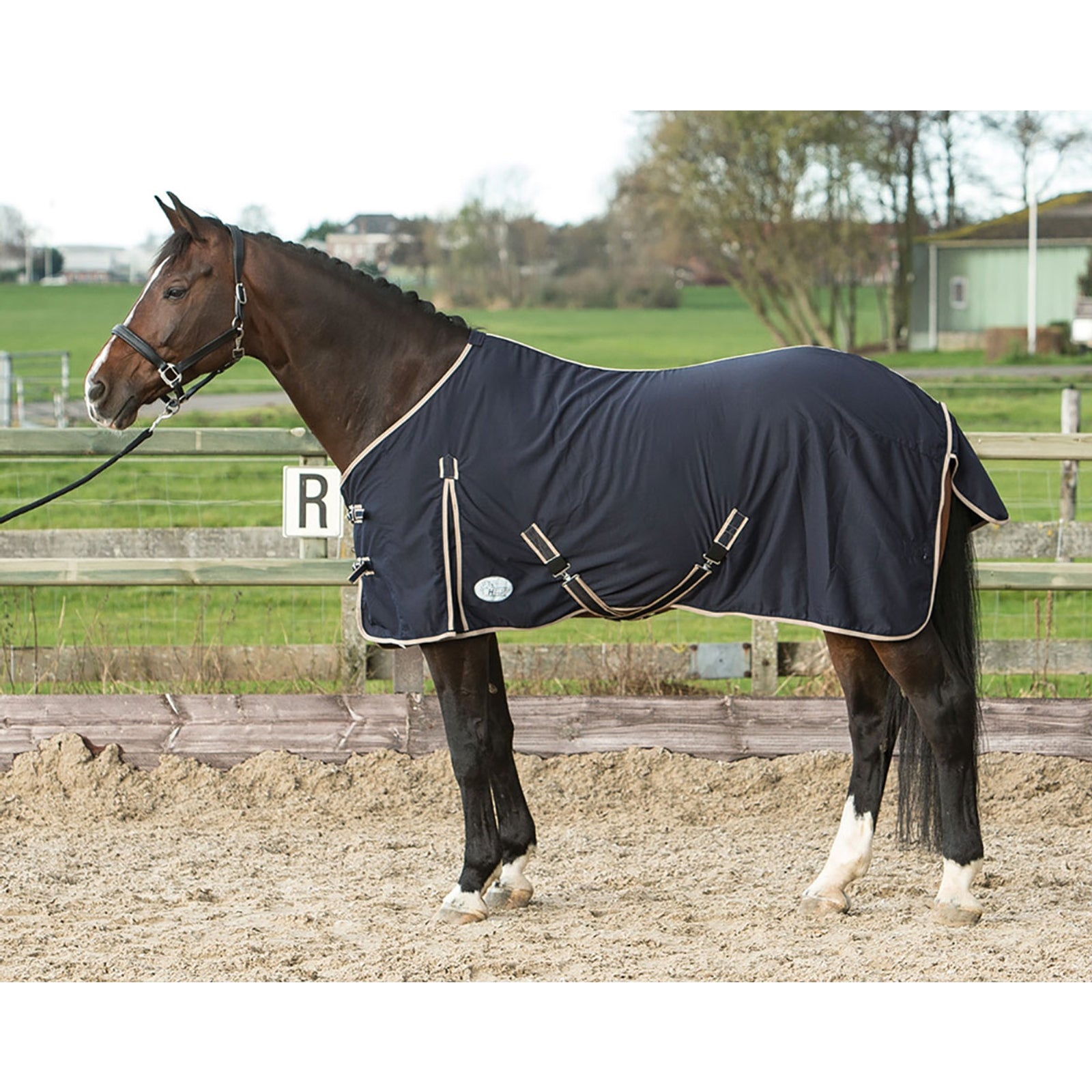 Harry's Horse Honeycomb Summer Rug Paardendekens