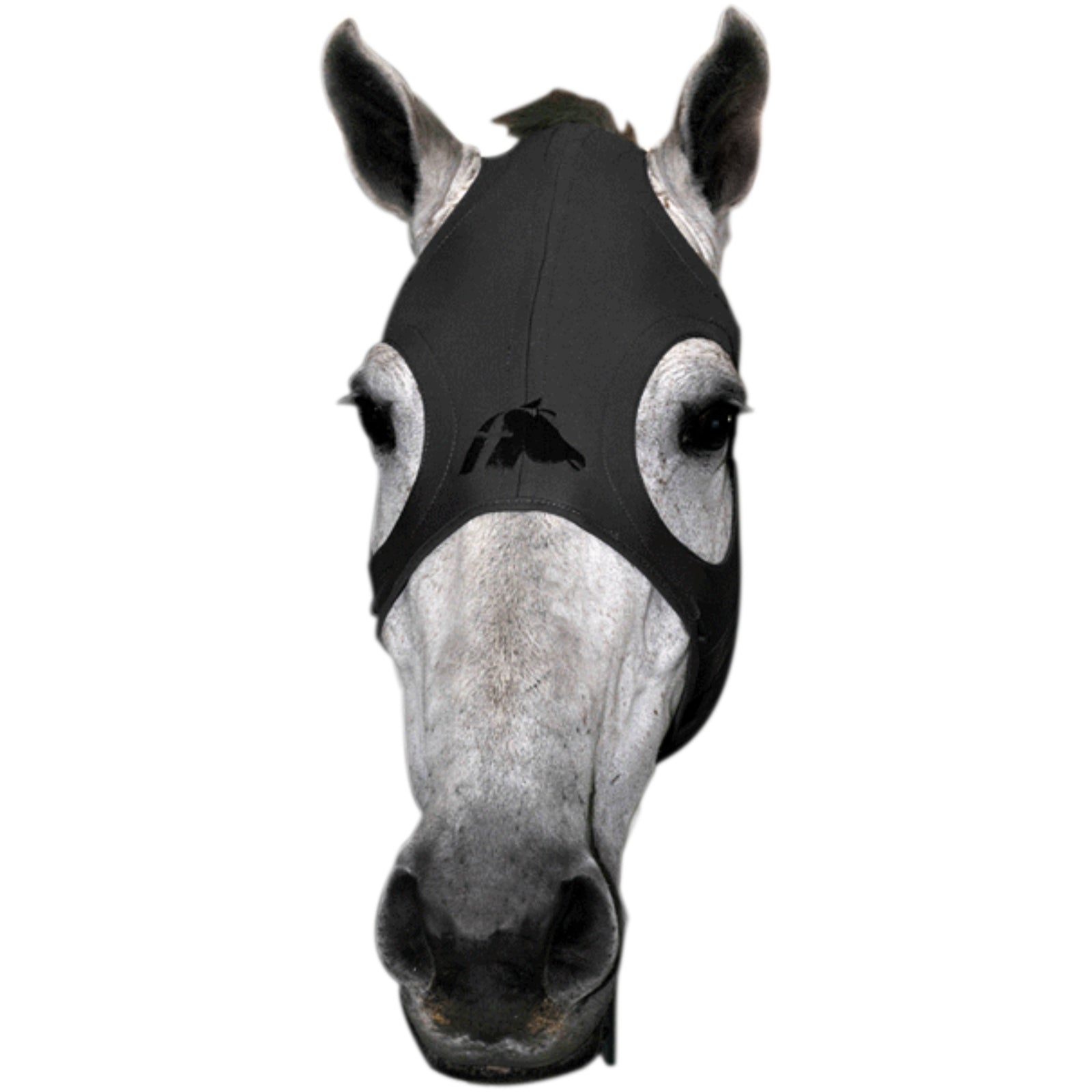 Fenwick Equestrian USA Fenwick Liquid Titanium Masker Drafsport
