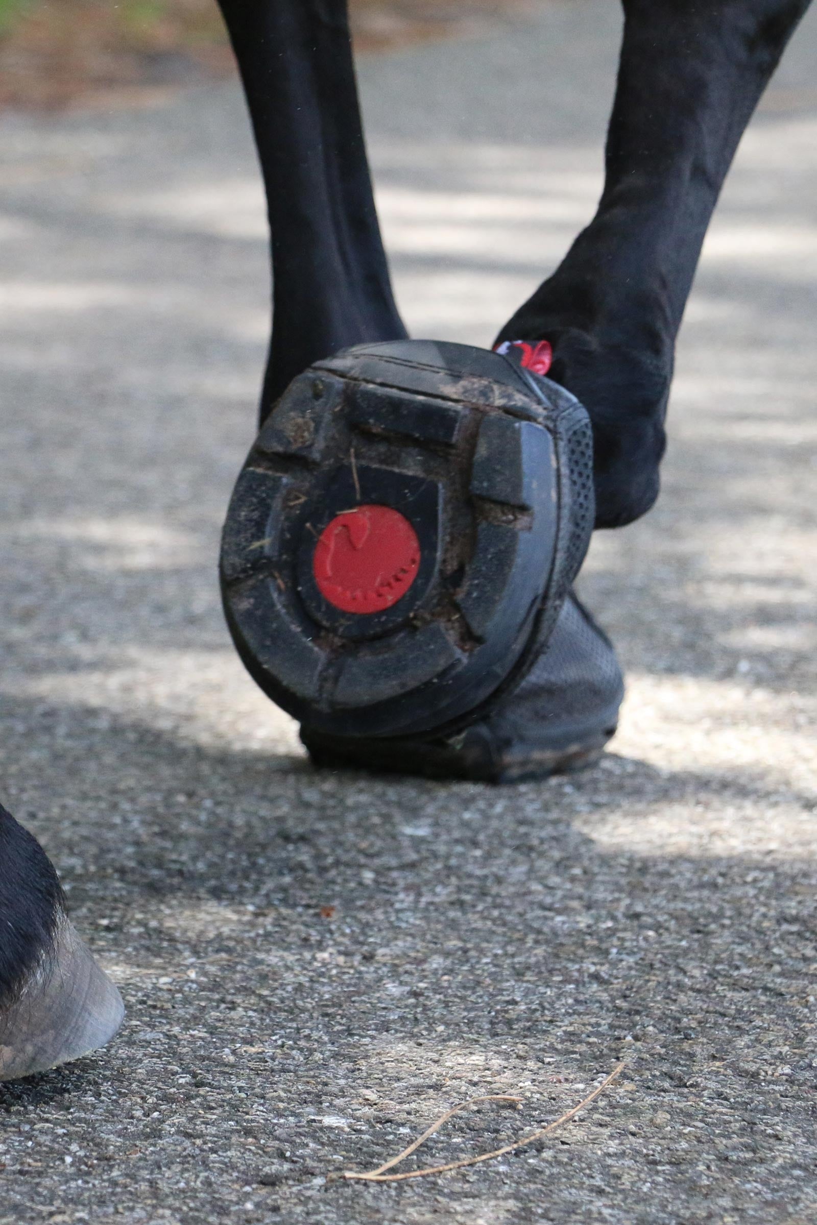 Cavallo Hoof Boots F.R.A. Trek Hoof Shoe (slim/pair) Leg Protection & Hoof Protection for Horses