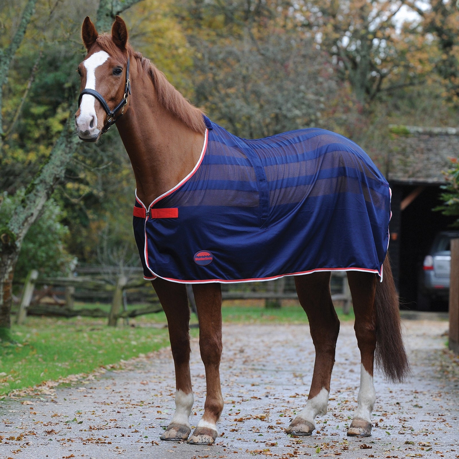 Weatherbeeta Weaterbeeta Scrim Cooler Horse Rugs