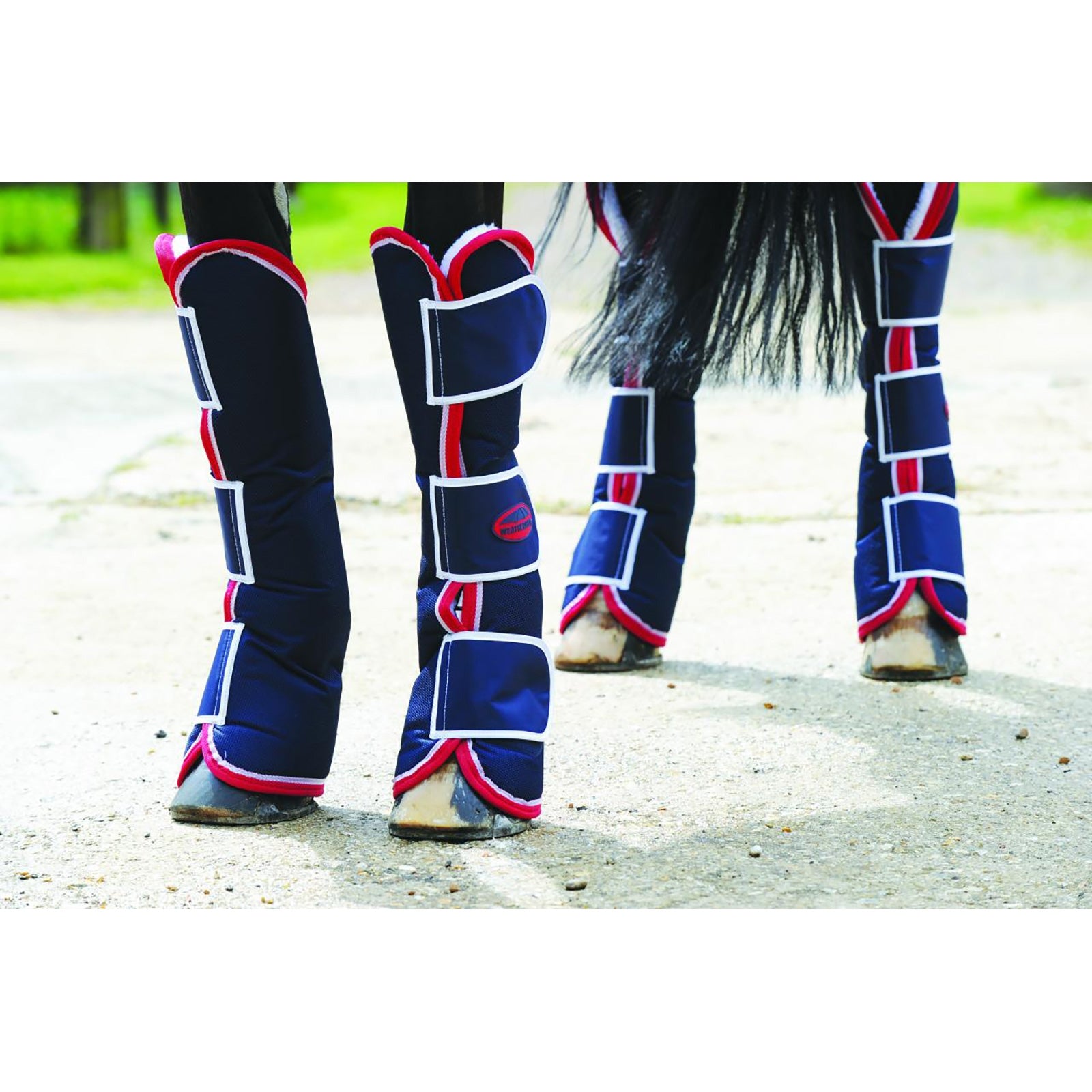 Weatherbeeta Brede tab lange transportbeschermers Leg Protection & Hoof Protection for Horses