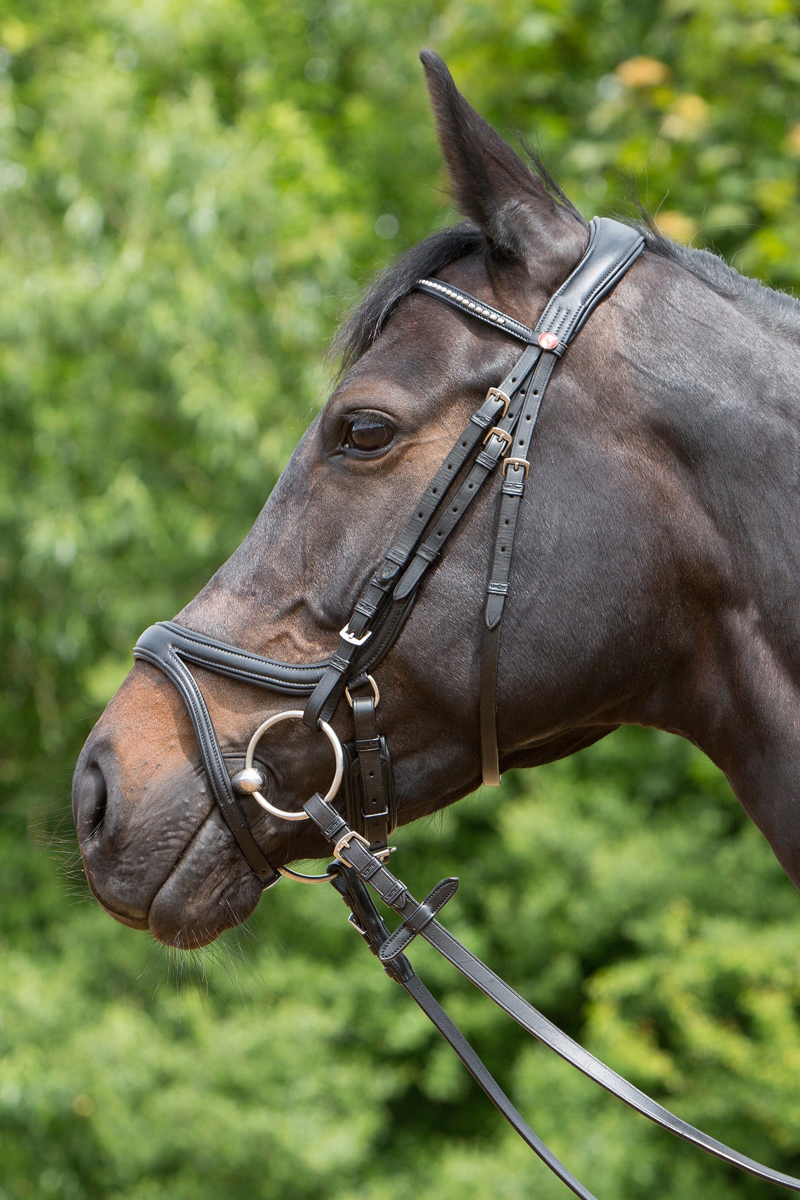 Kieffer Ultrasoft® Tara Hoofdstel Hoofdstellen & Teugels