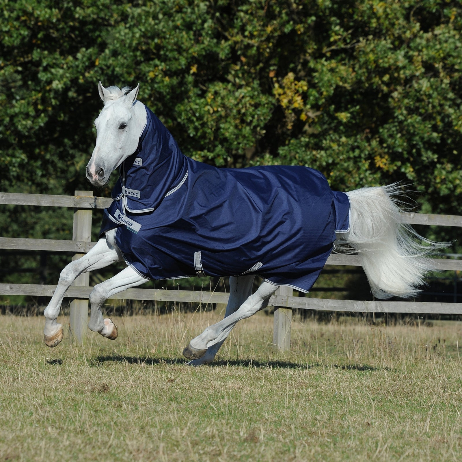 Bucas Freedom outdoordeken voor pony's met vaste volledige hals (150g / 150g) Paardendekens