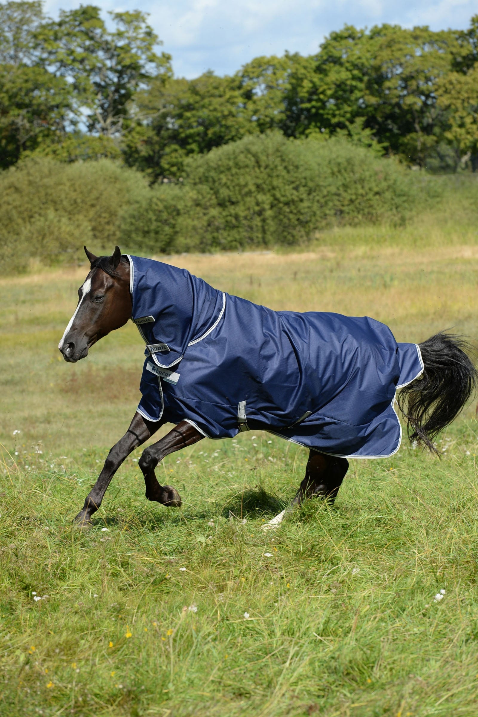 Bucas Freedom Pony Turnout Rug with fixed Full Neck (150g / 150g) Horse Rugs