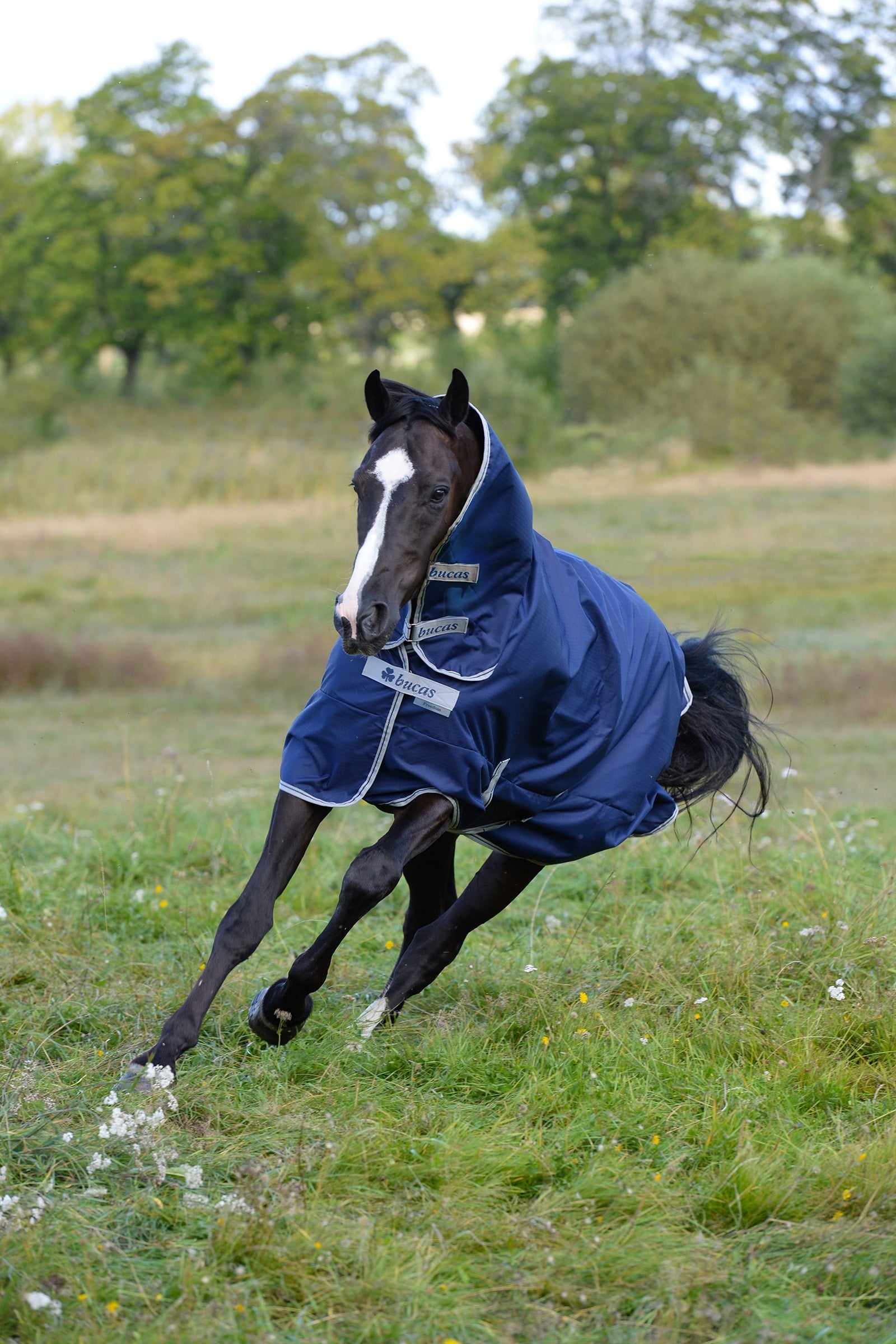 Bucas Freedom Turnout Light Fullneck Pony Turnout with Fixed Neck Horse Rugs