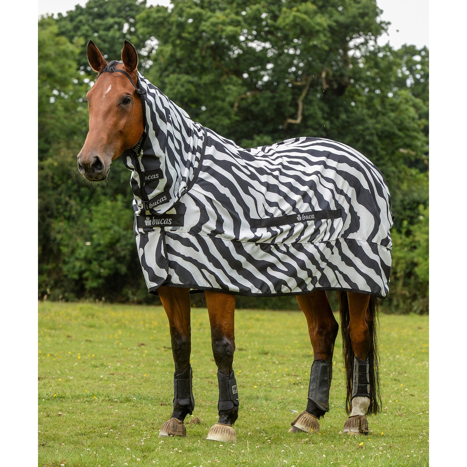 Bucas Sweet-itch Zebra Eczema Rug Pony with fixed Neck Horse Rugs