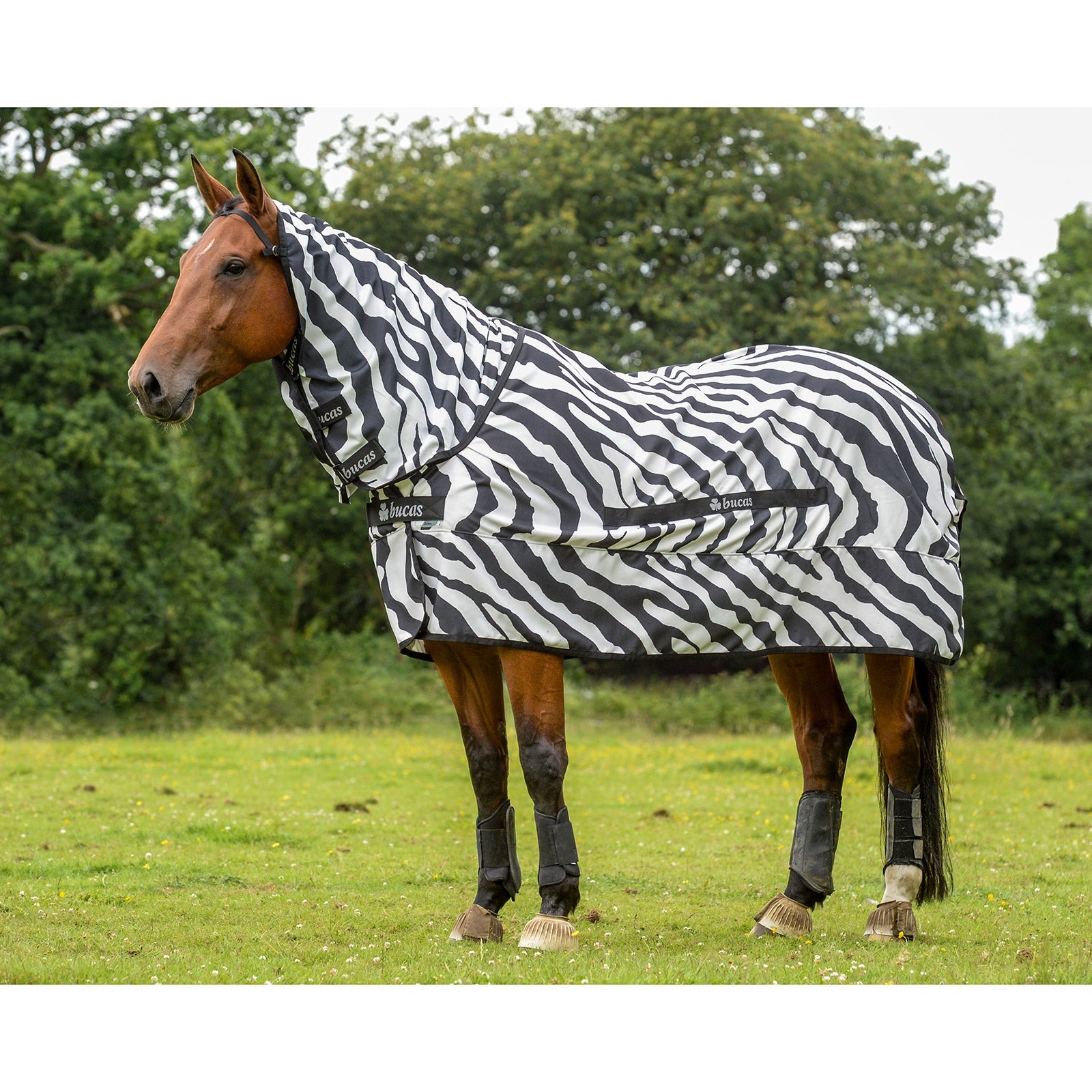 Bucas Sweet-itch Zebra Eczema Rug Pony with fixed Neck Horse Rugs