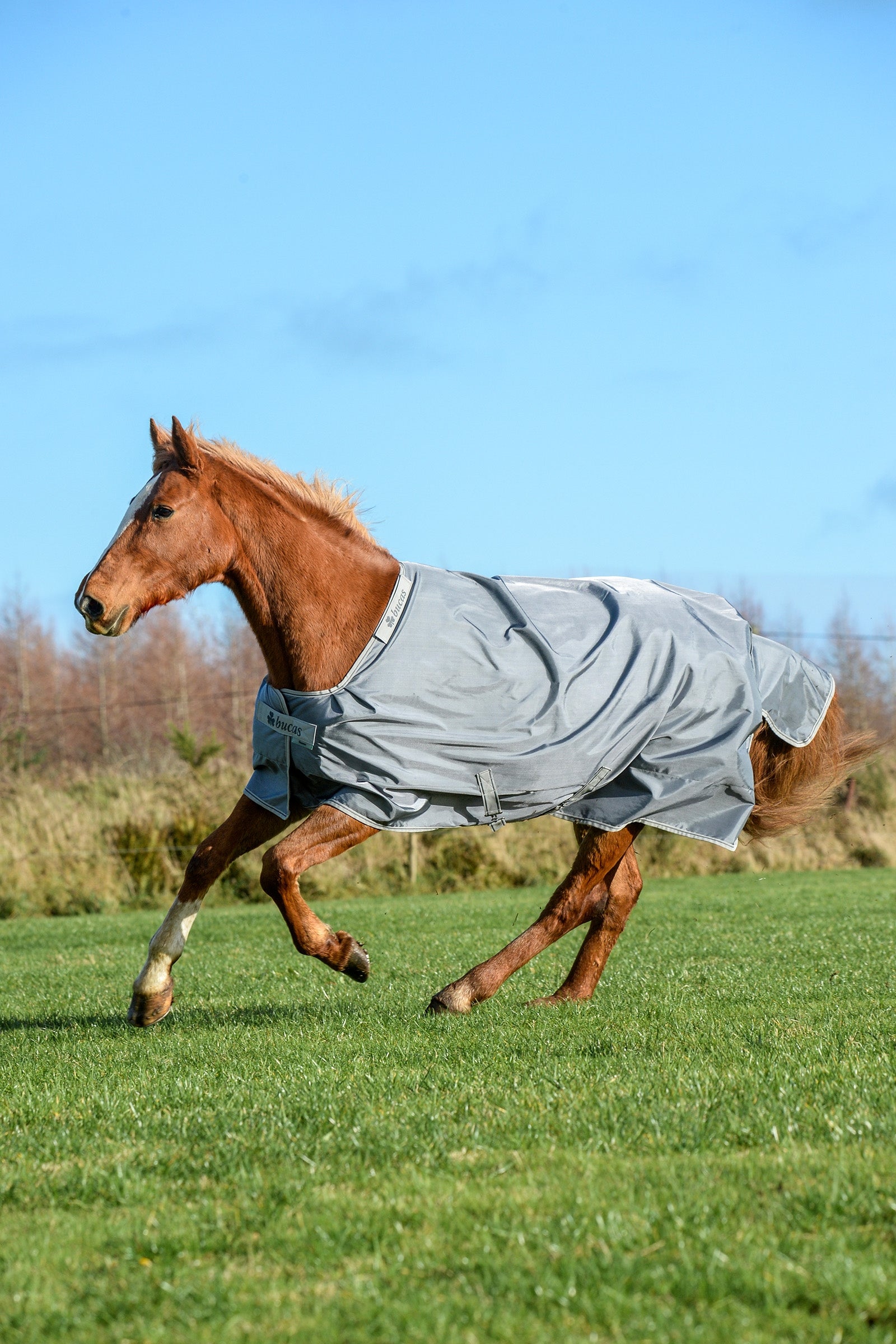 Bucas Smartex Extra Rug 300g Horse Rugs