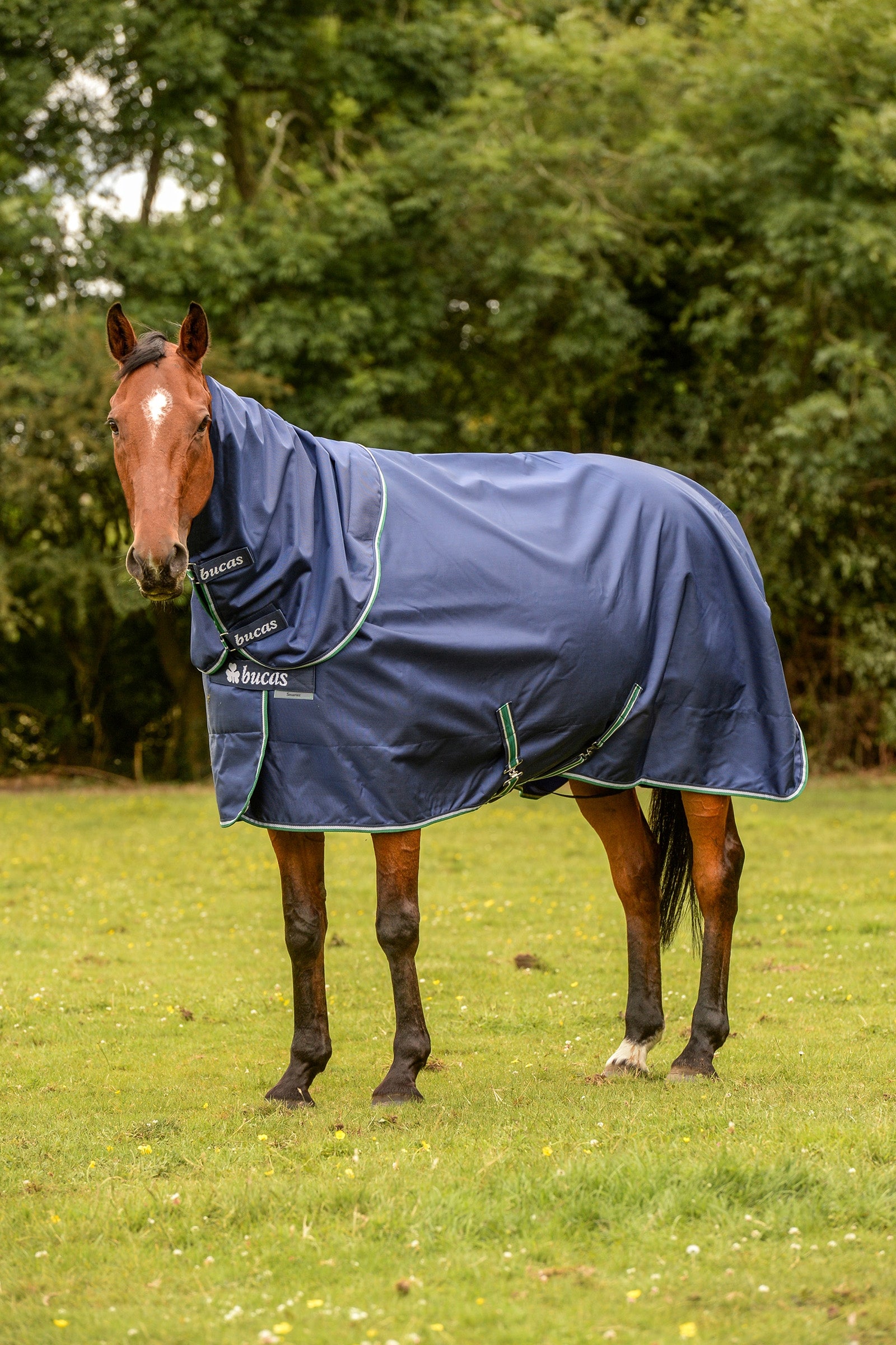 Bucas Smartex Rain, pony Paardendekens