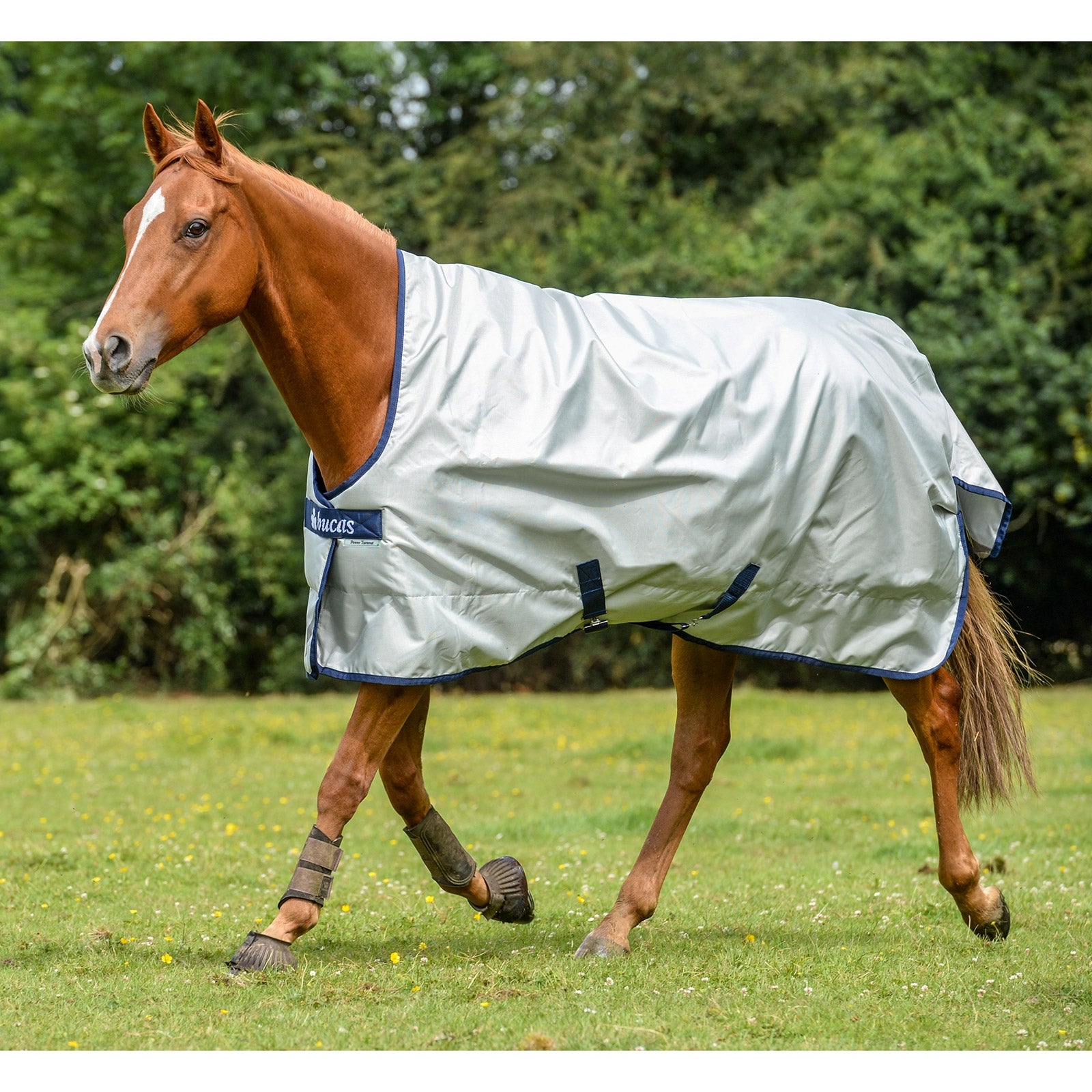 Bucas Power Turnout Extra High Neck, 300g Horse Rugs