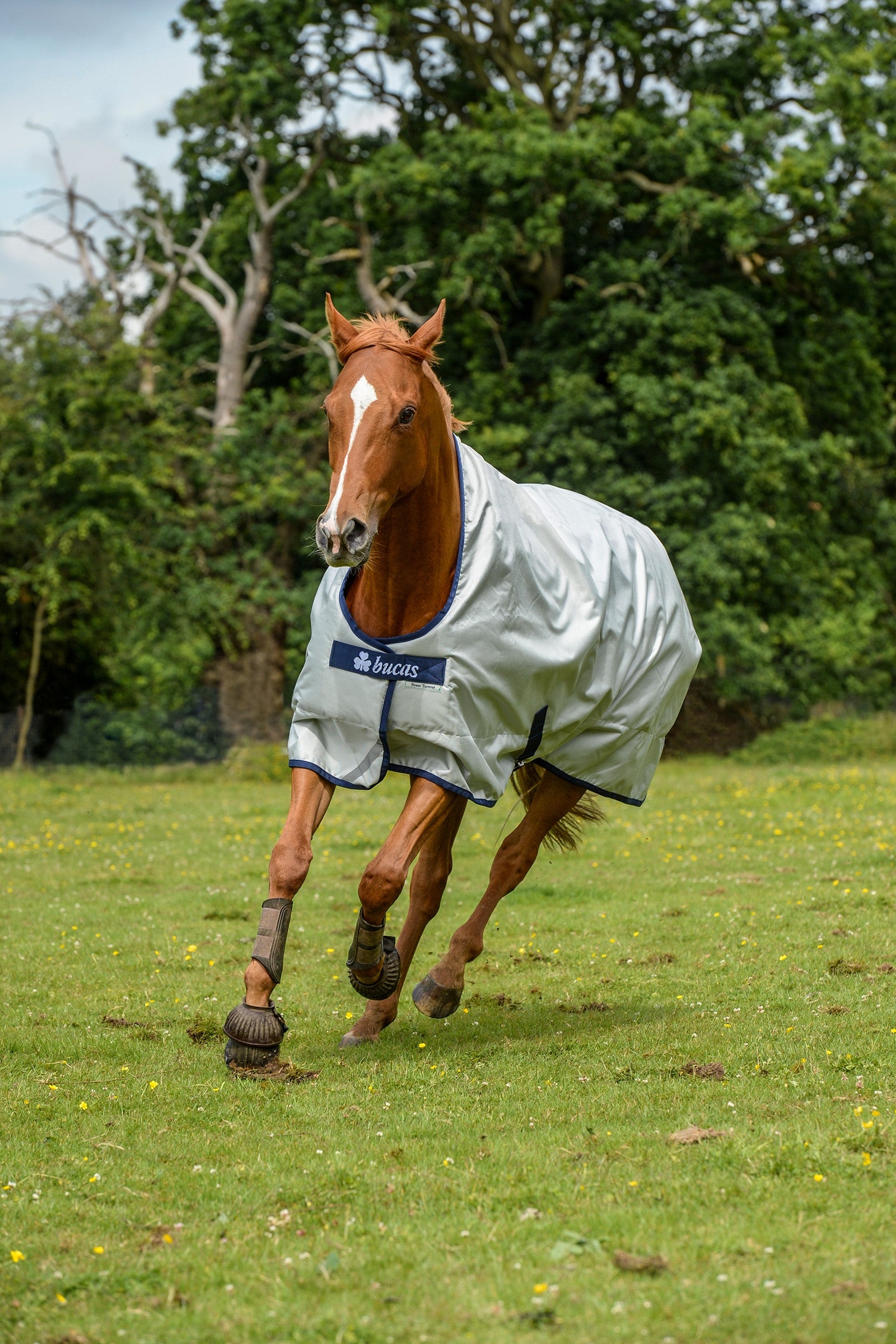 Bucas Power Regendeken Extra Hoge Hals, 300 grams Paardendekens