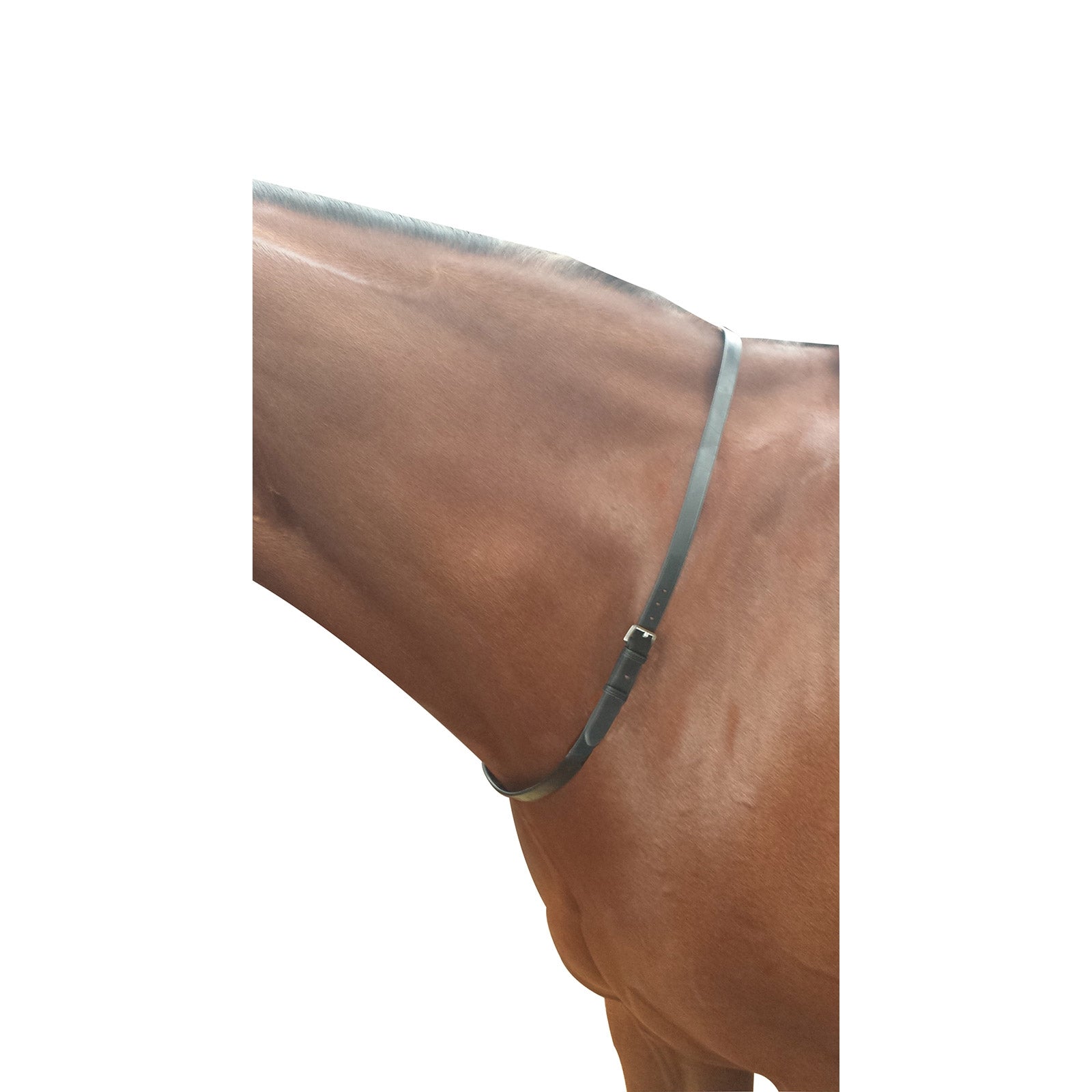 Kincade Halsriem Hoofdstellen & Teugels
