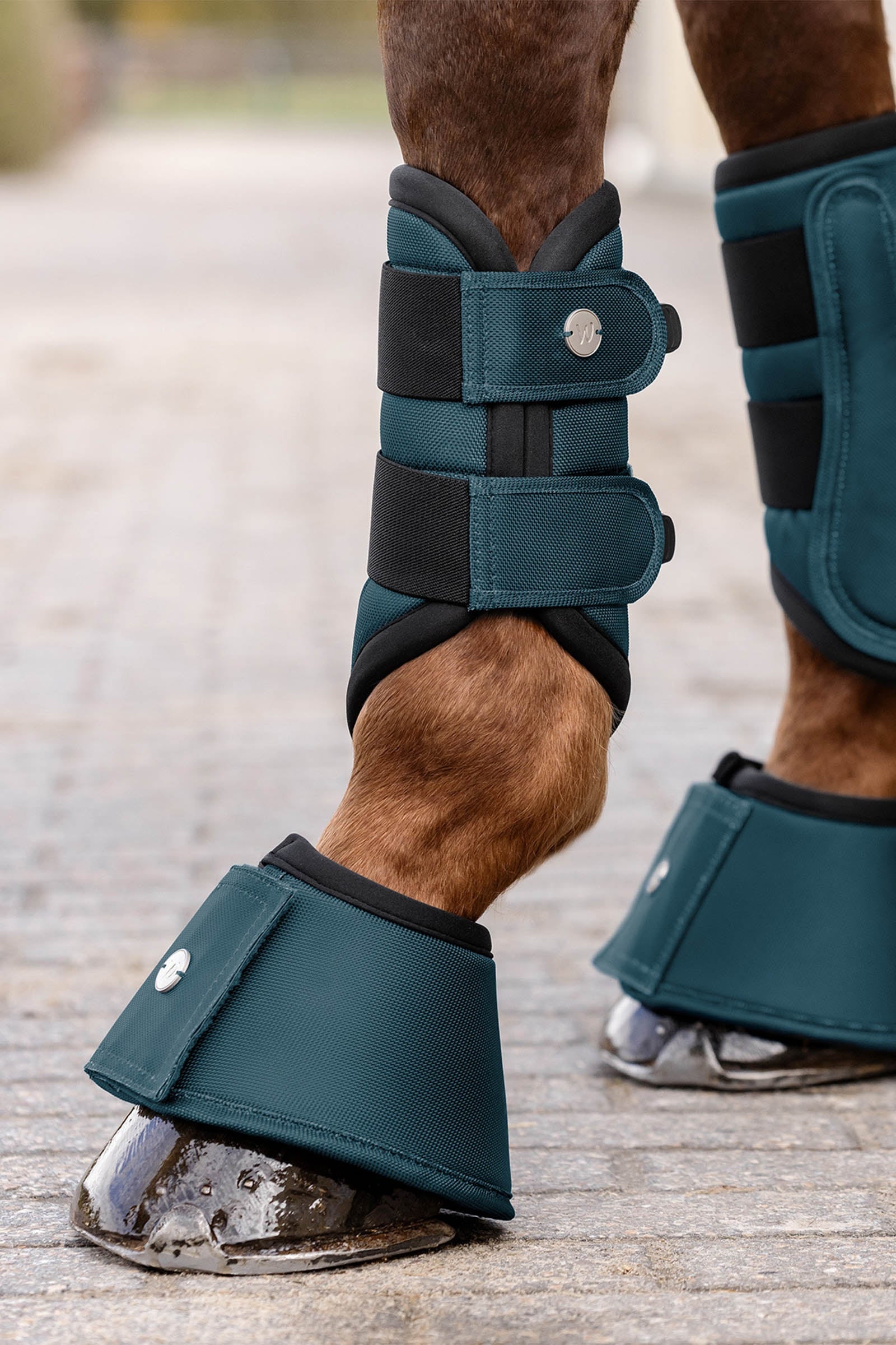 Waldhausen Comfort Fit Bell Boots Leg Protection & Hoof Protection for Horses