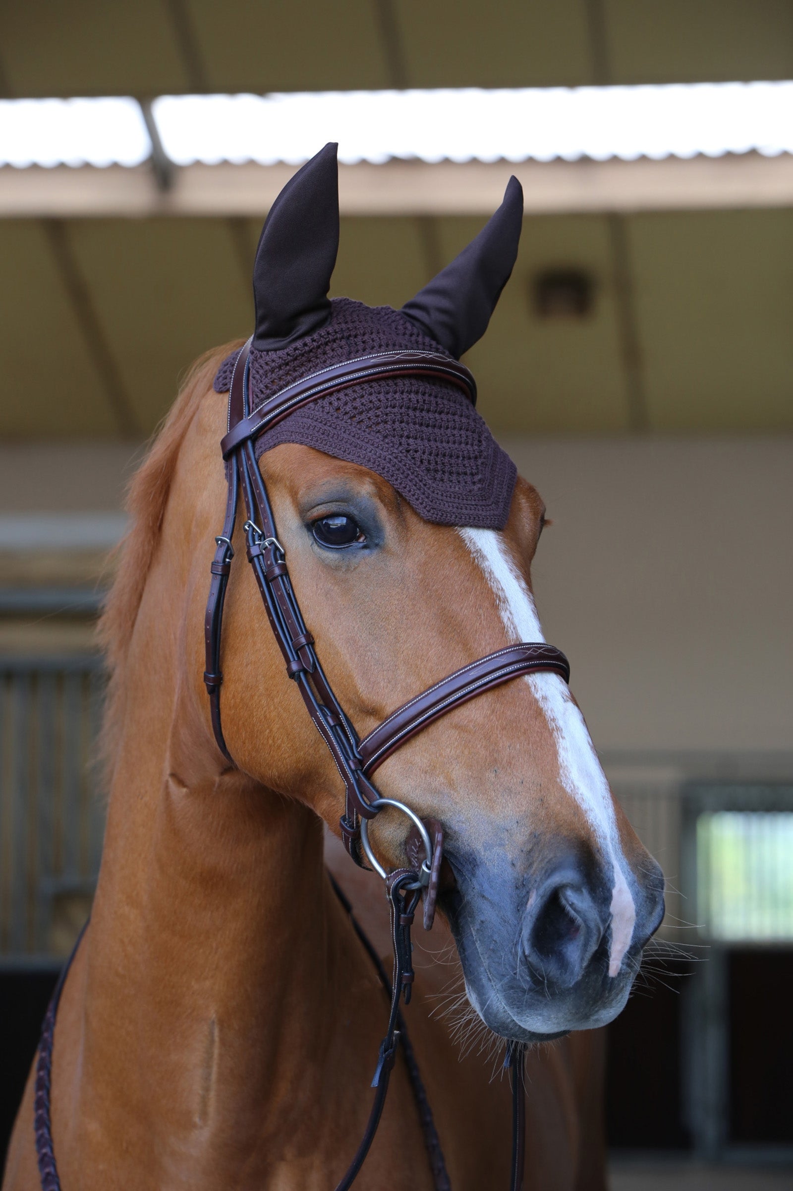 Kentucky Horsewear Fly Veil Wellington Saddle Pads