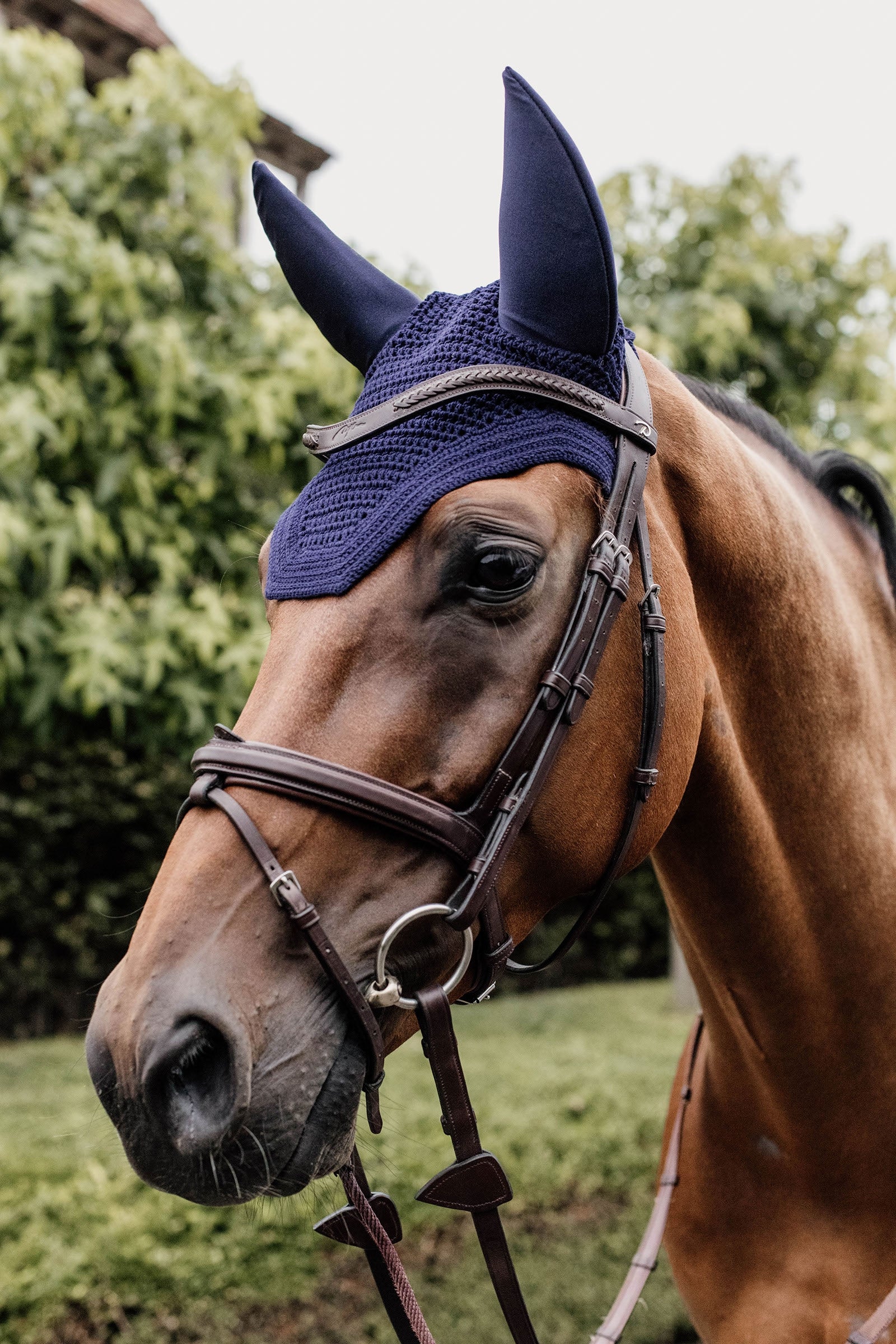 Kentucky Horsewear Wellington Oornetje Soundless Zadeldekjes