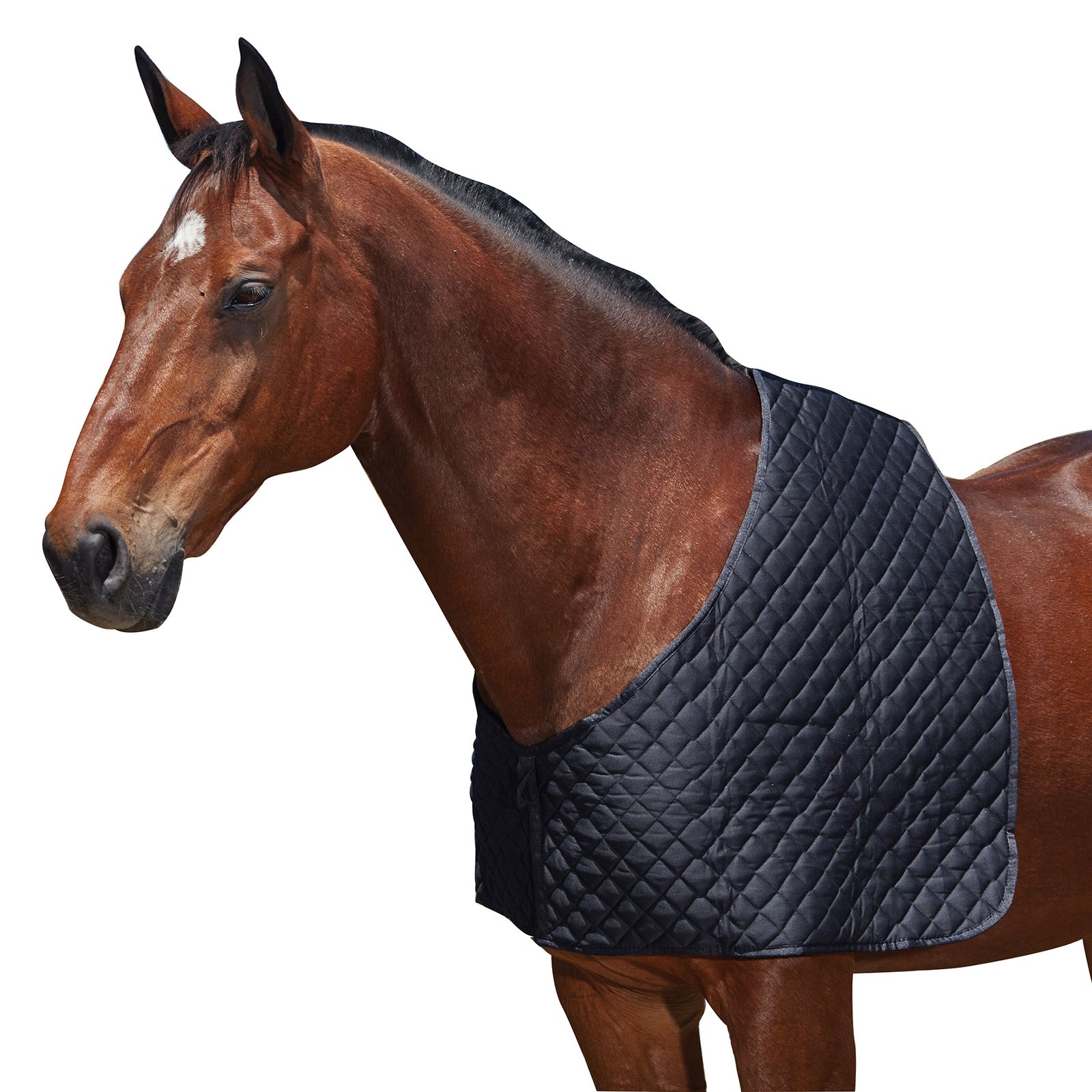 Weatherbeeta Deluxe Shoulder Guard Horse Rugs