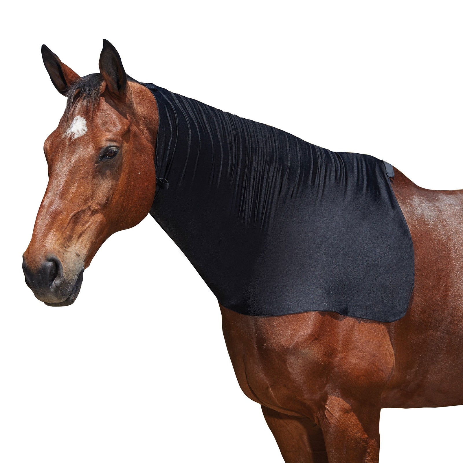 Weatherbeeta Stretch hals deken Paardendekens